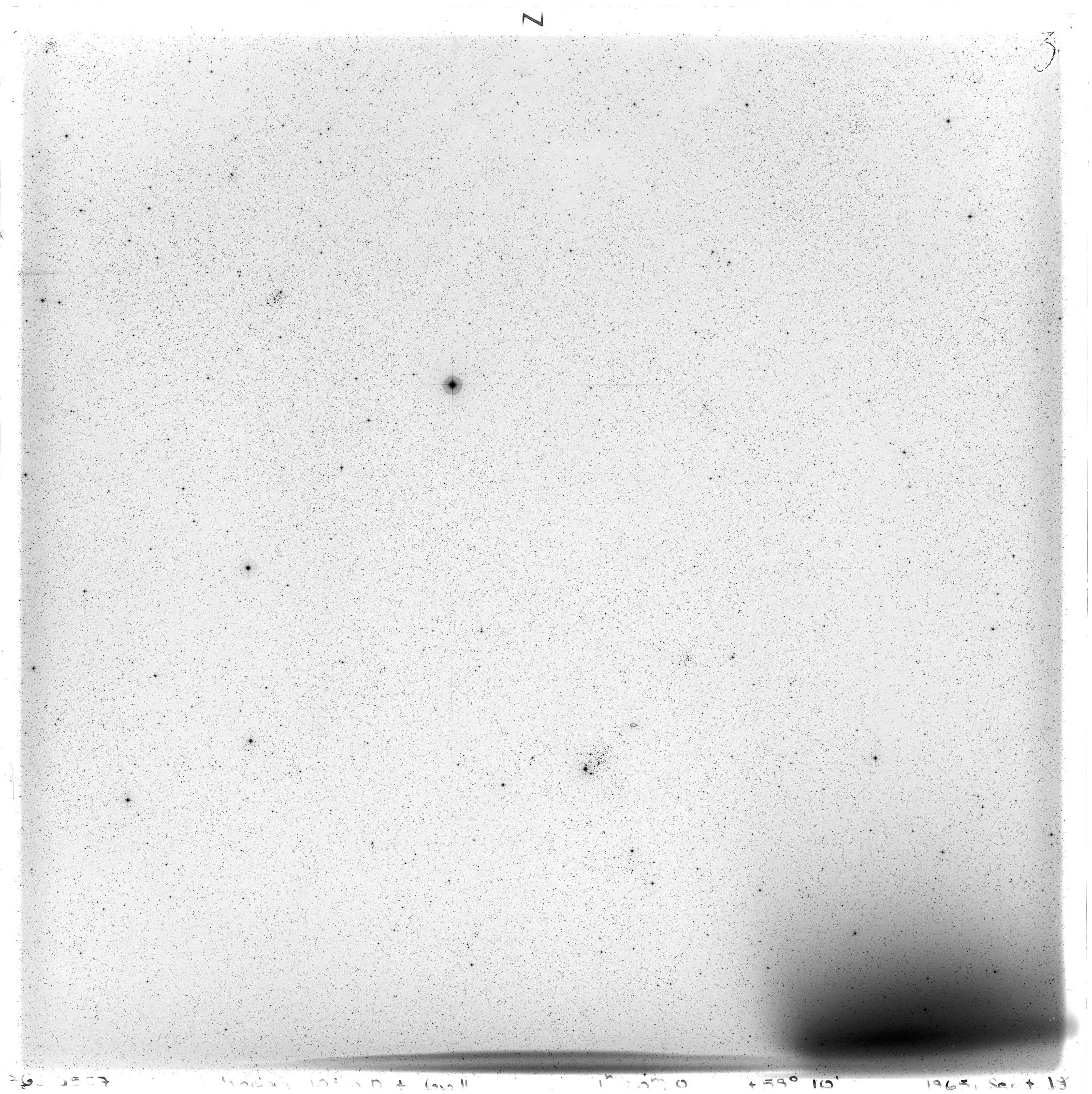 Scan GS03557