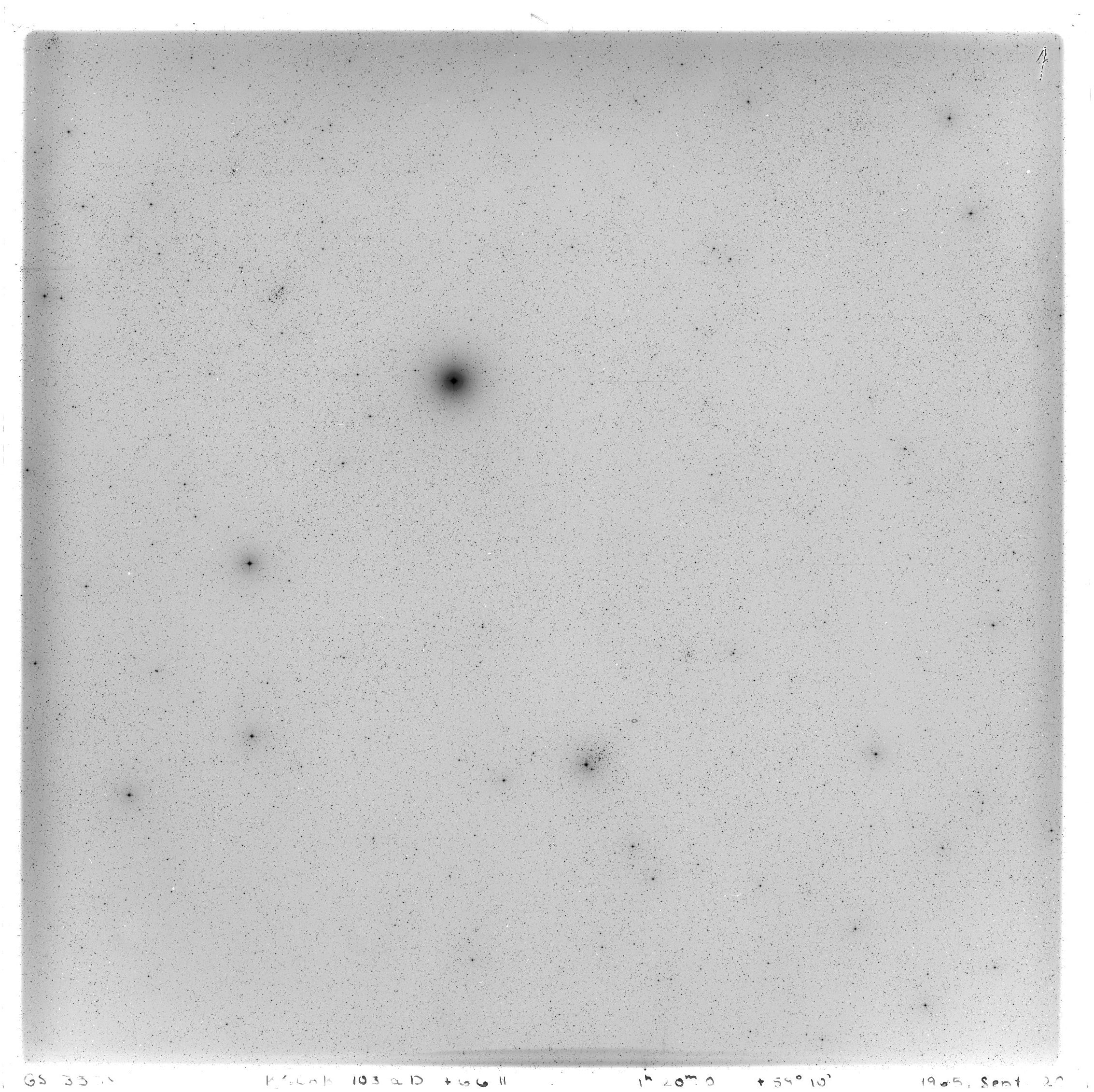 Scan GS03558