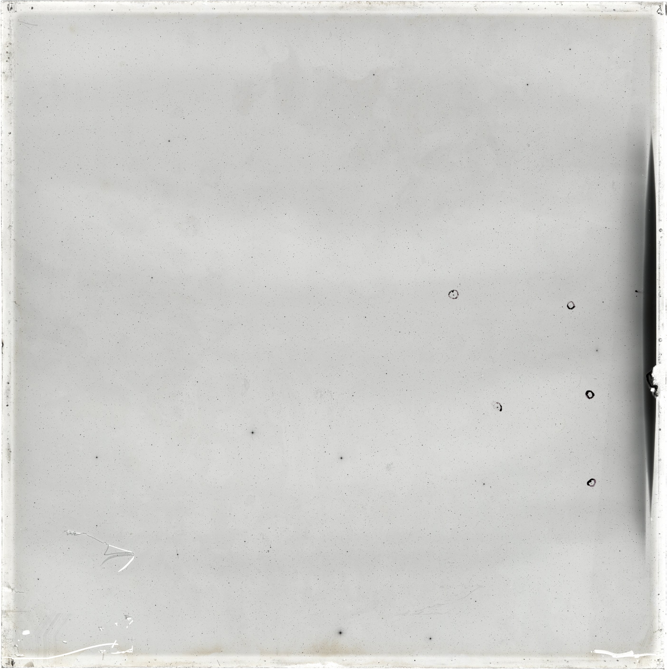 Scan GS03686