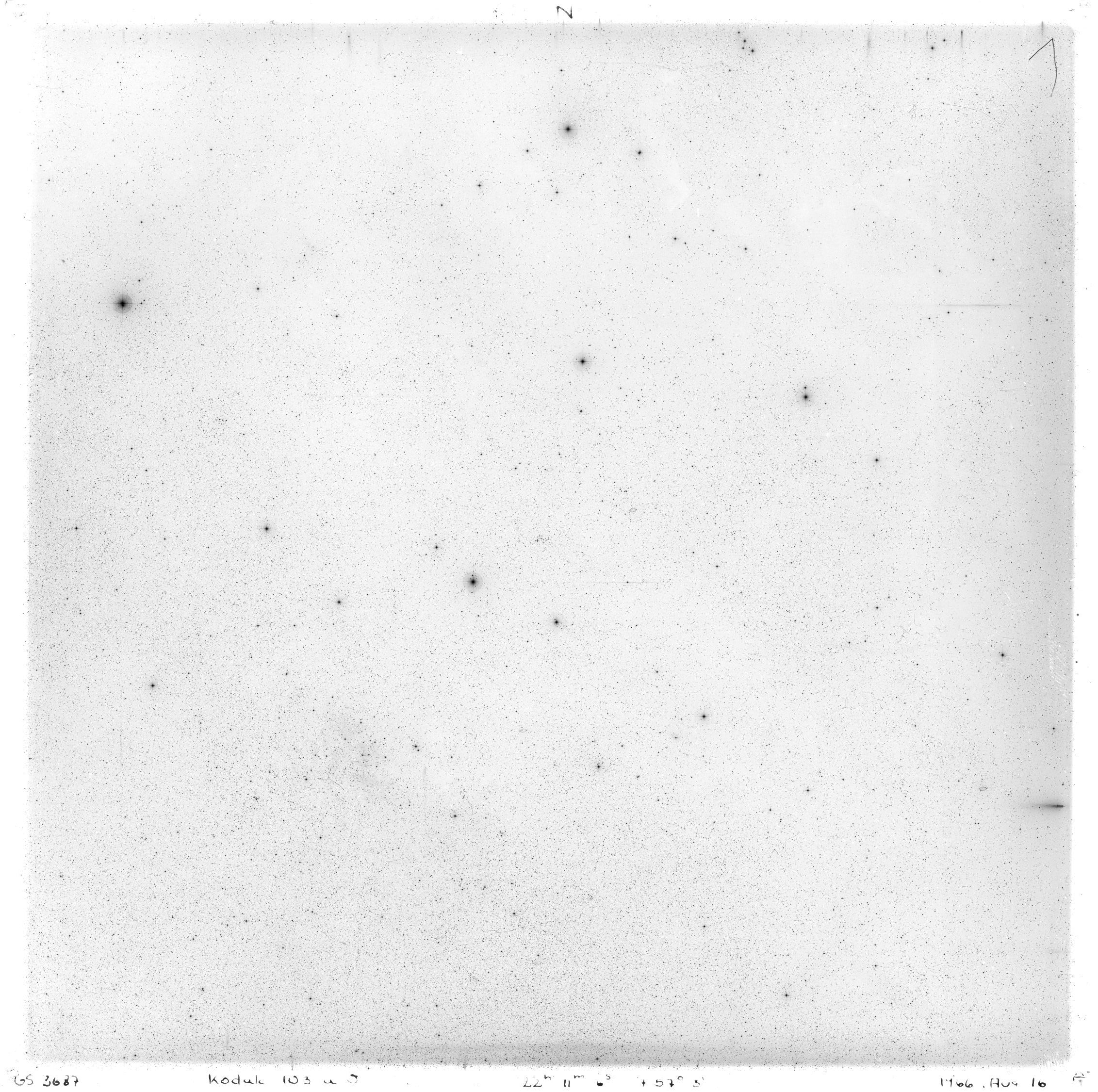 Scan GS03687