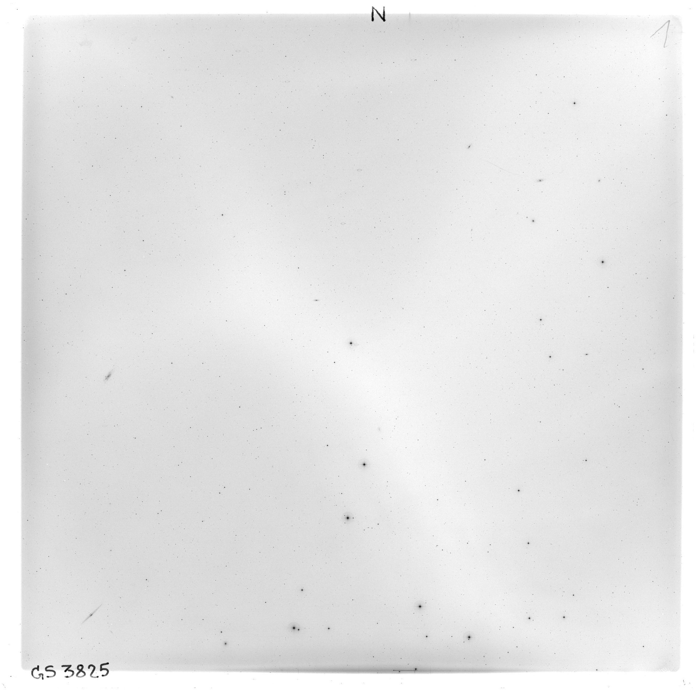 Scan GS03825