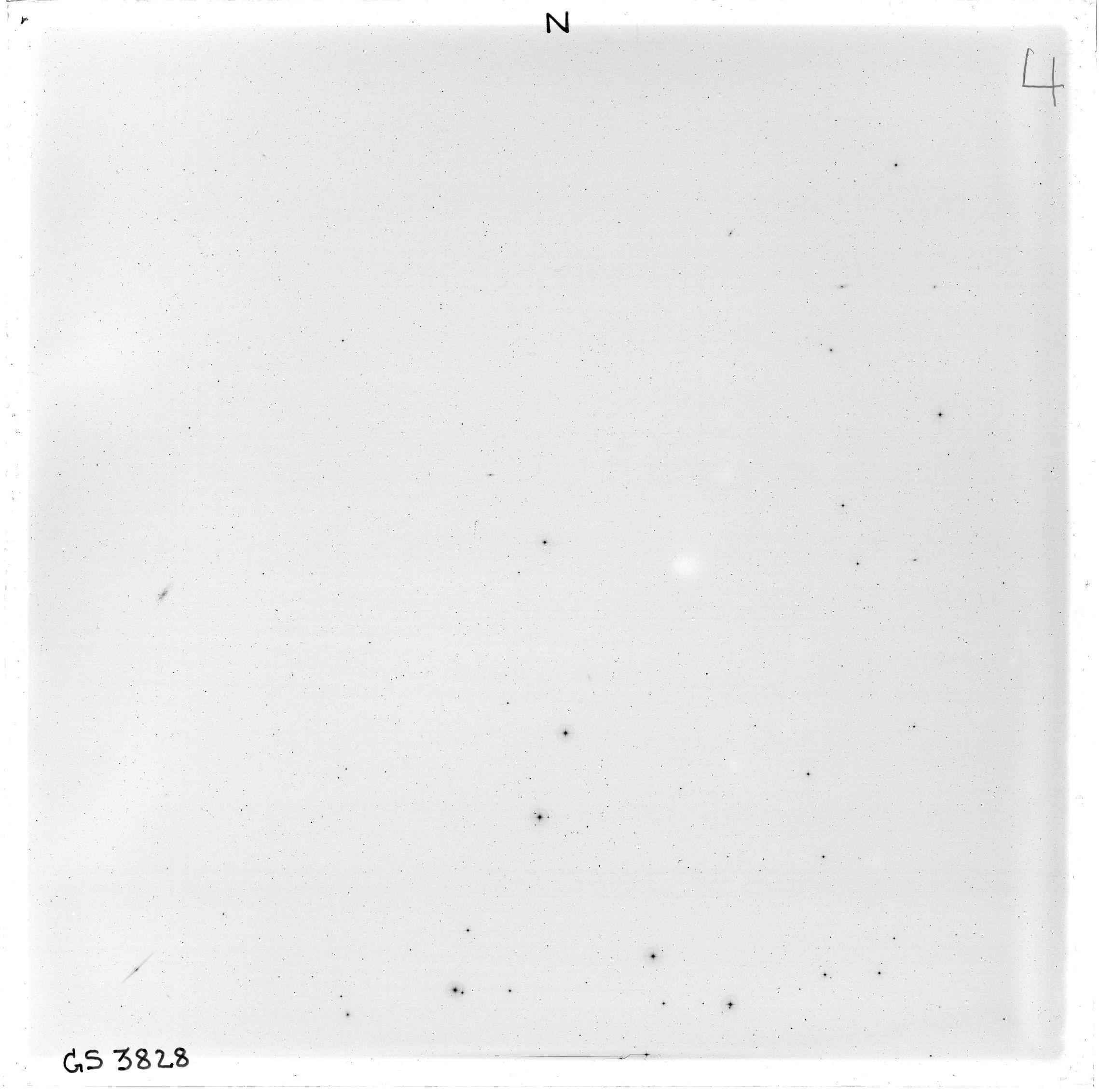 Scan GS03828
