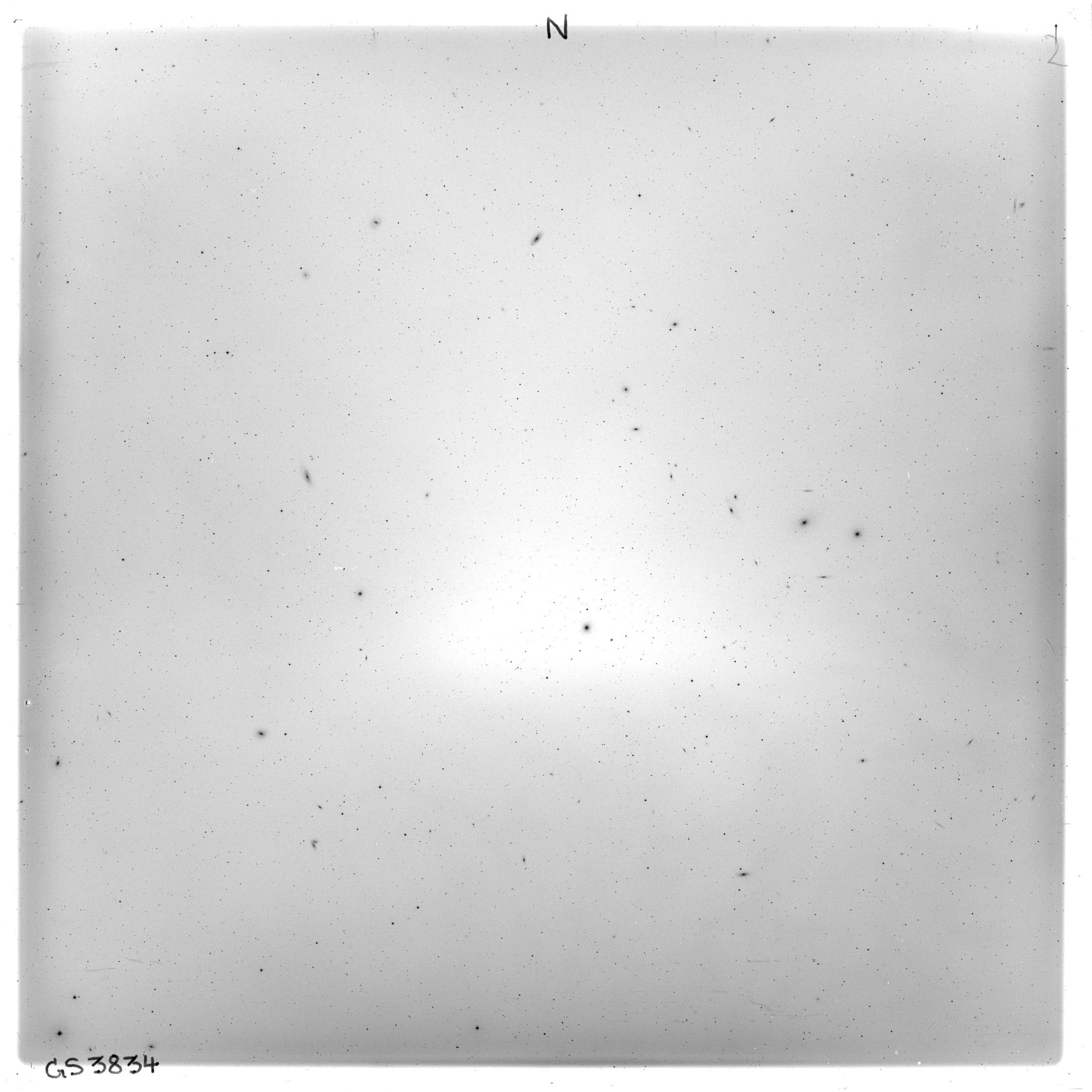 Scan GS03834