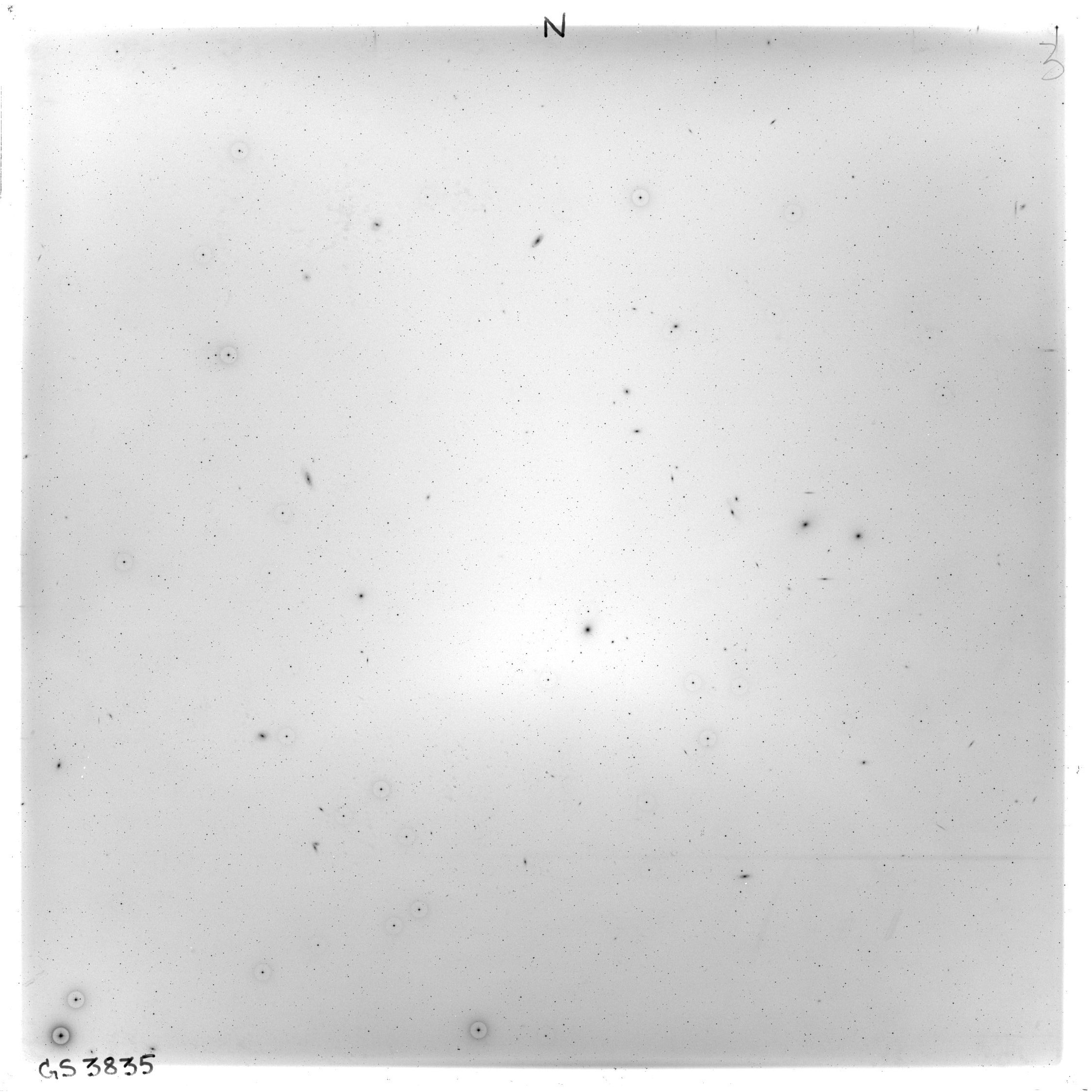 Scan GS03835