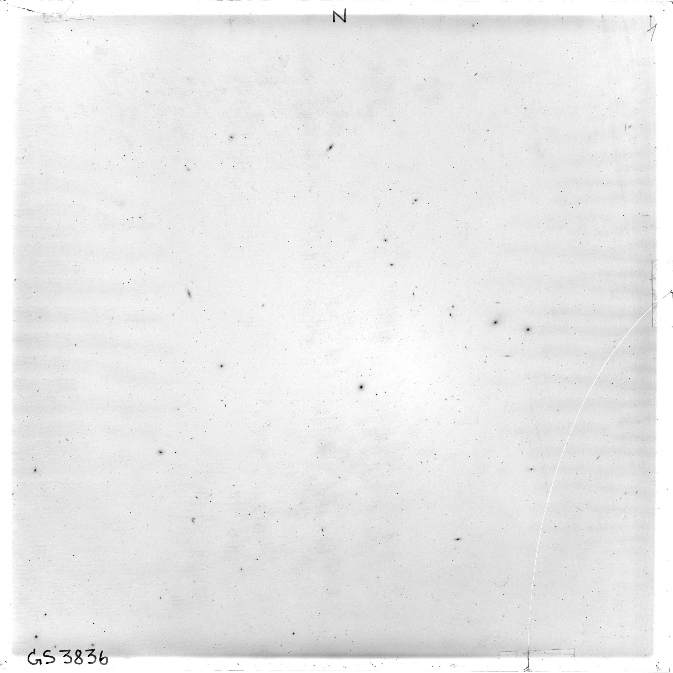 Scan GS03836