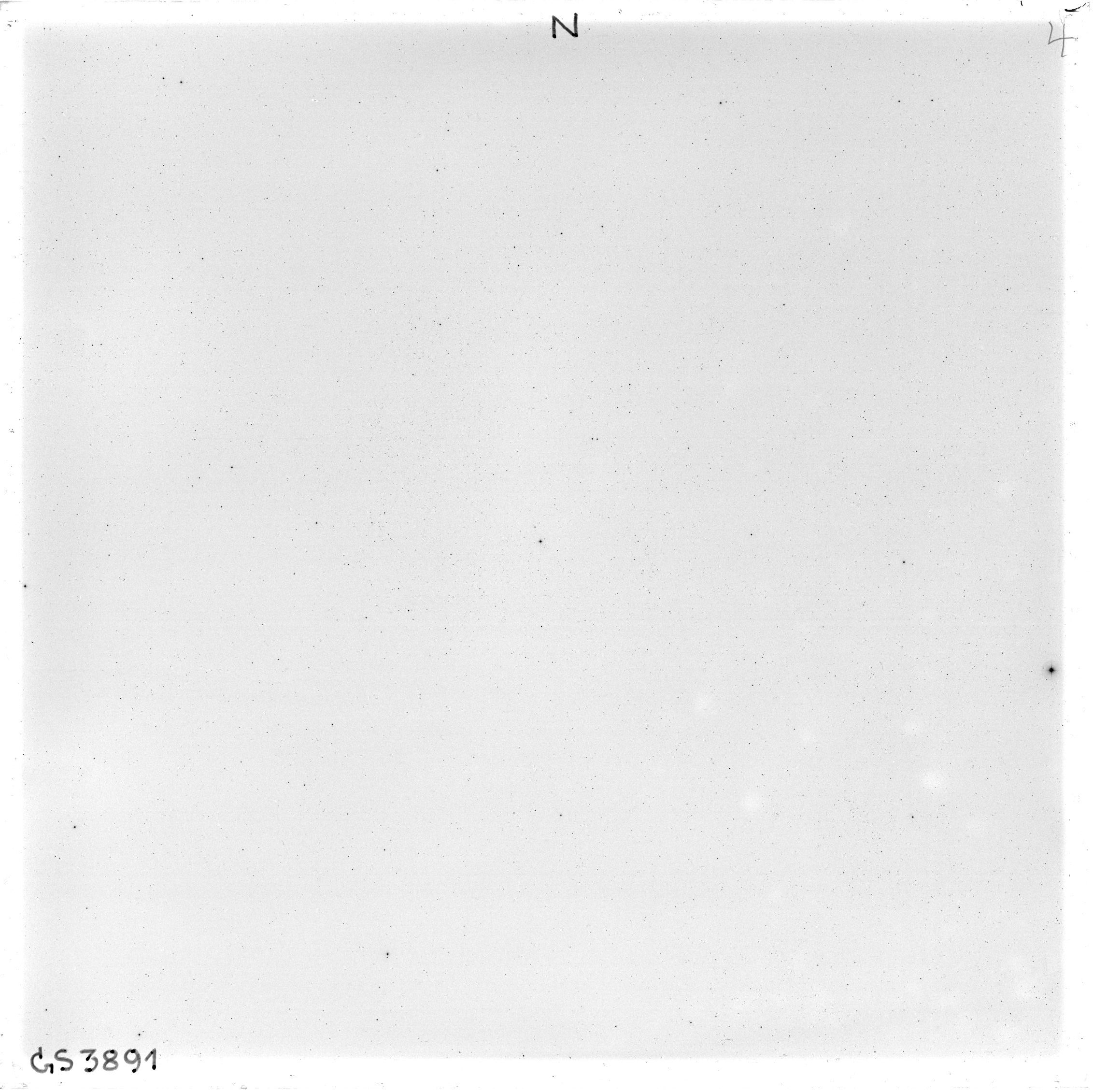 Scan GS03891
