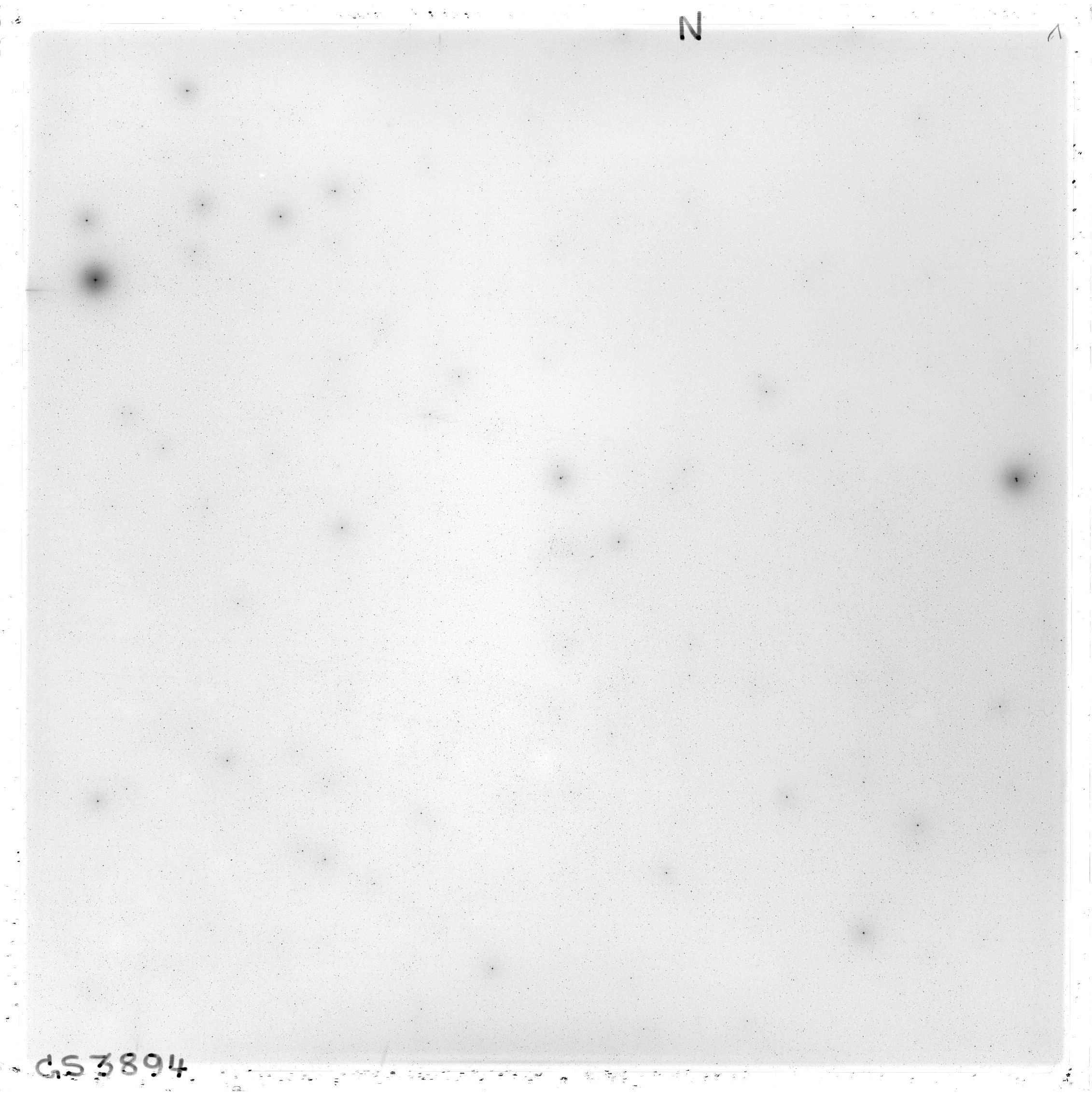 Scan GS03894