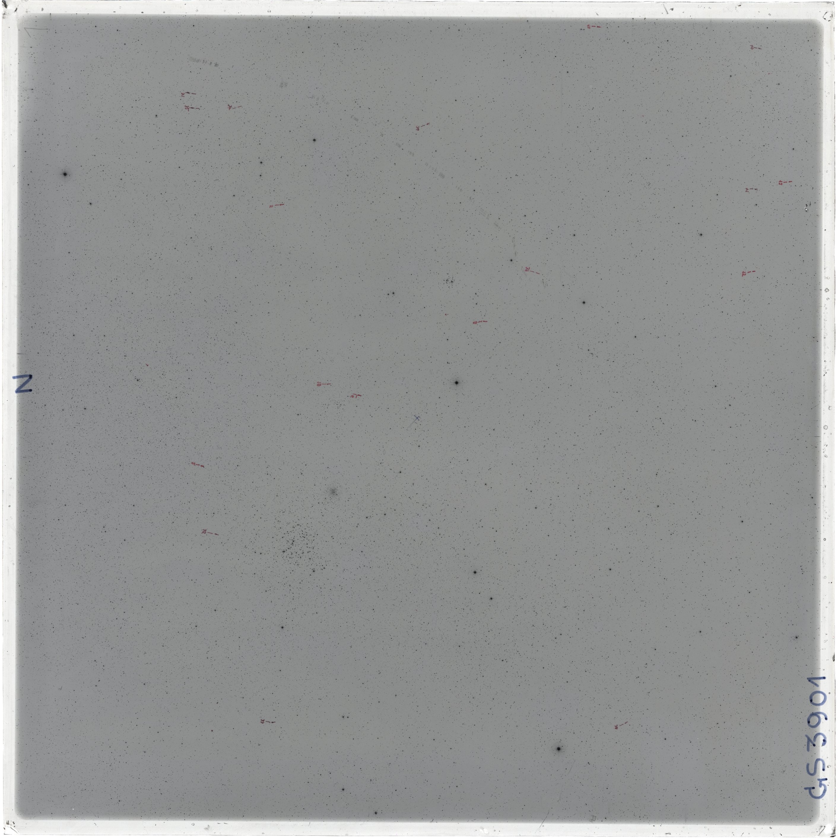 Scan GS03901