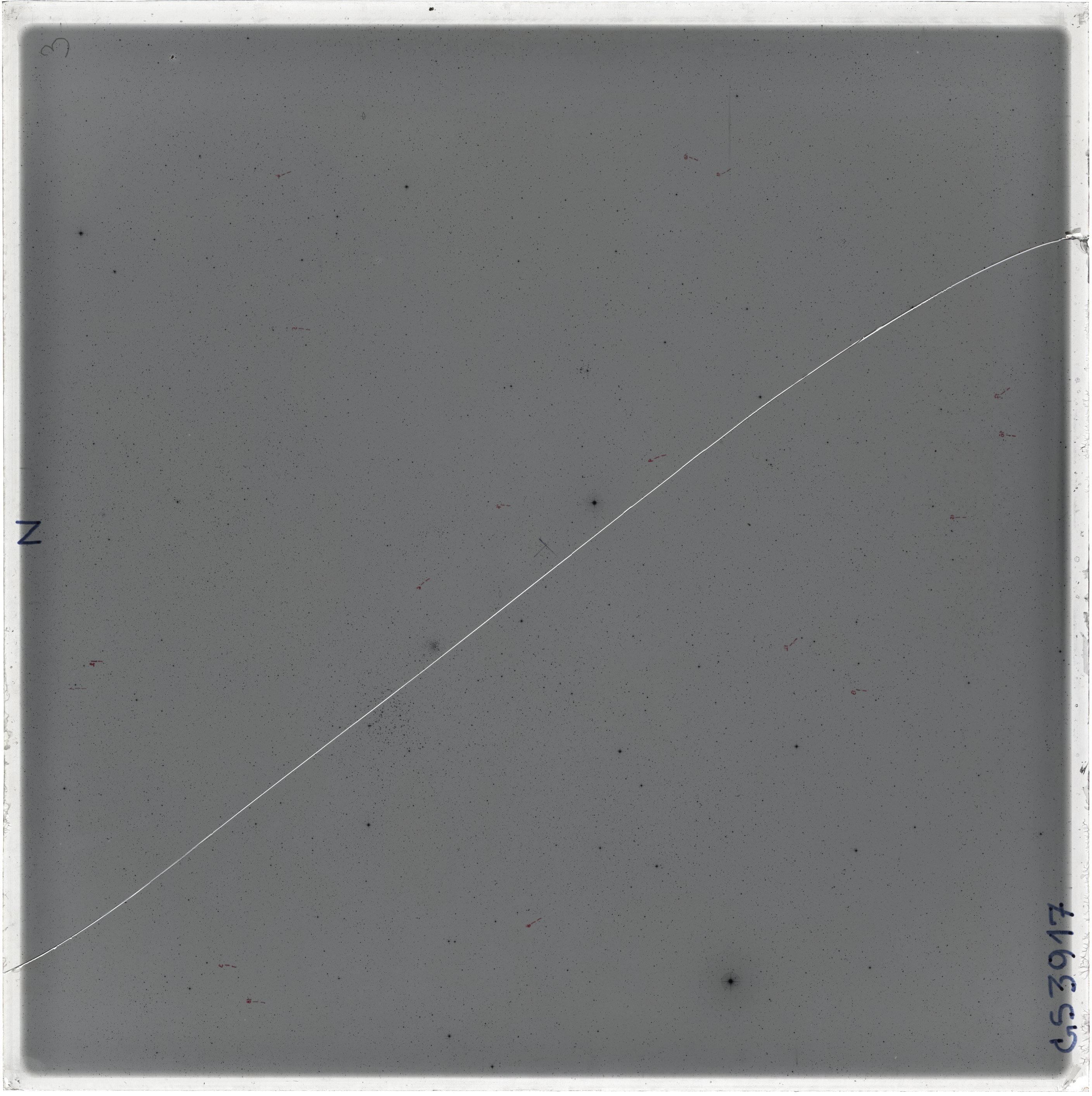 Scan GS03917