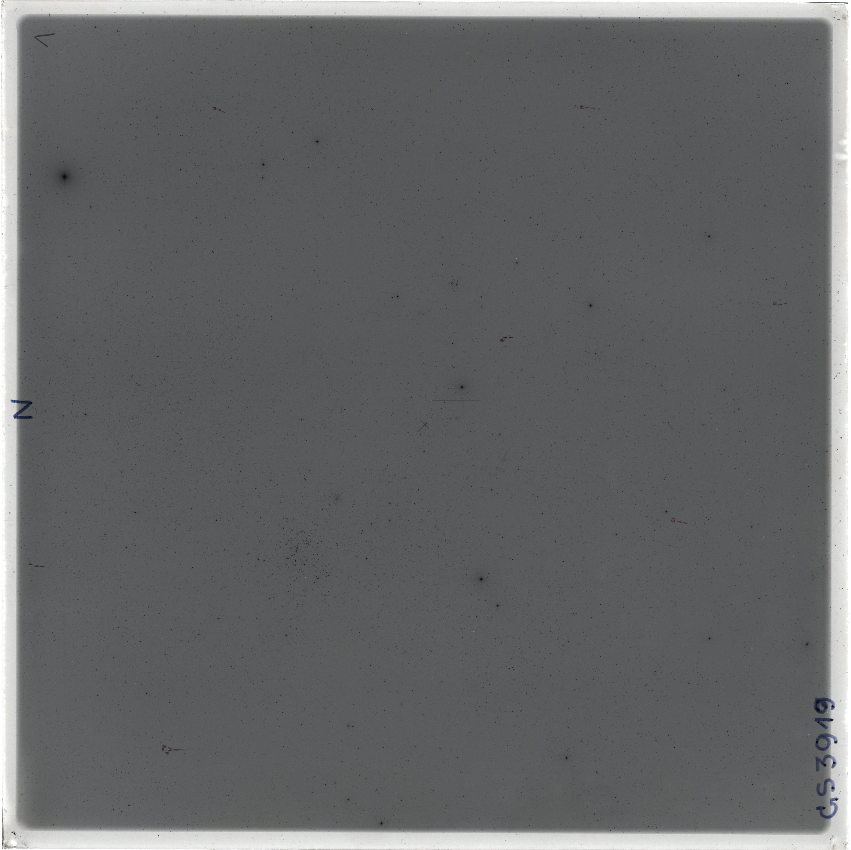 Scan GS03919