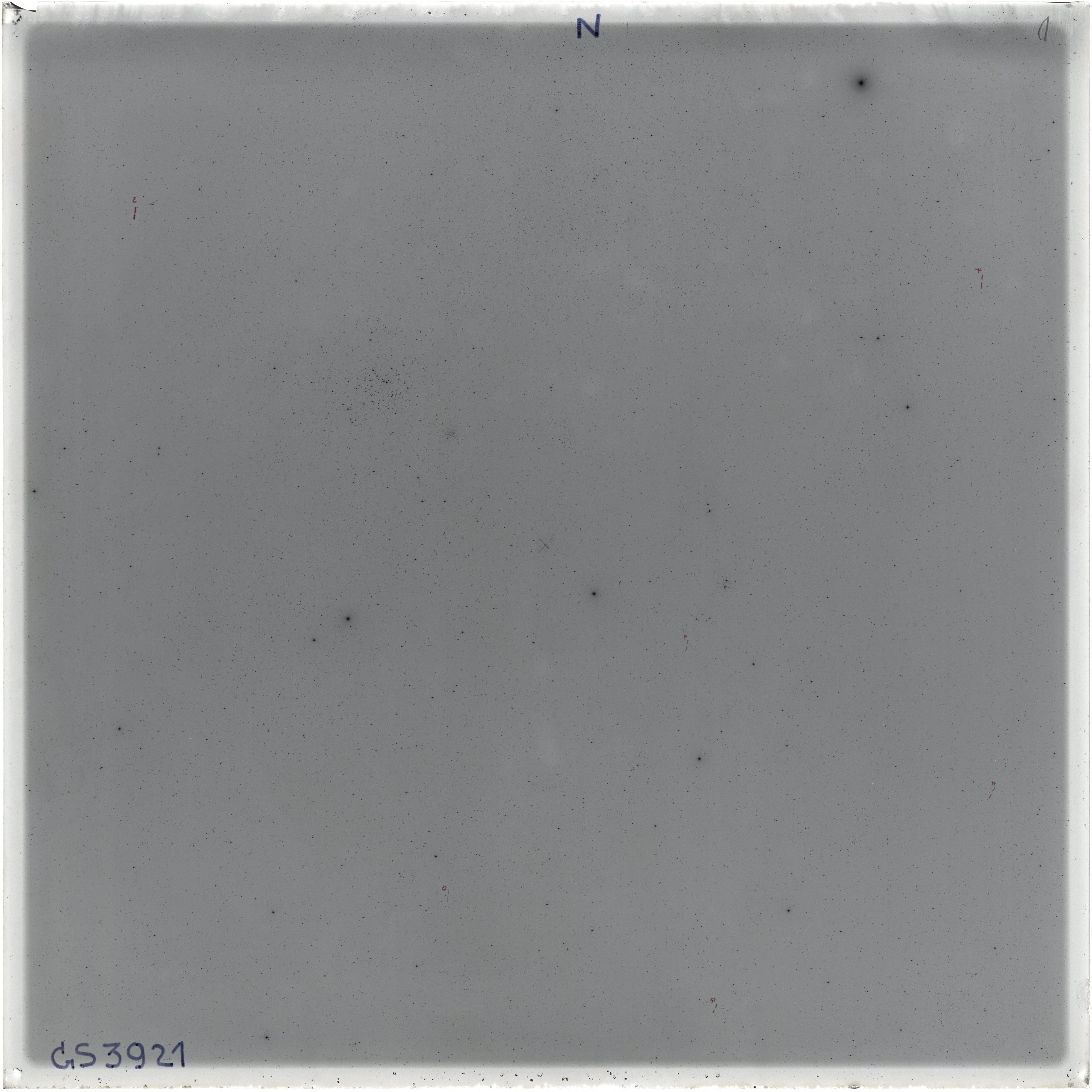 Scan GS03921