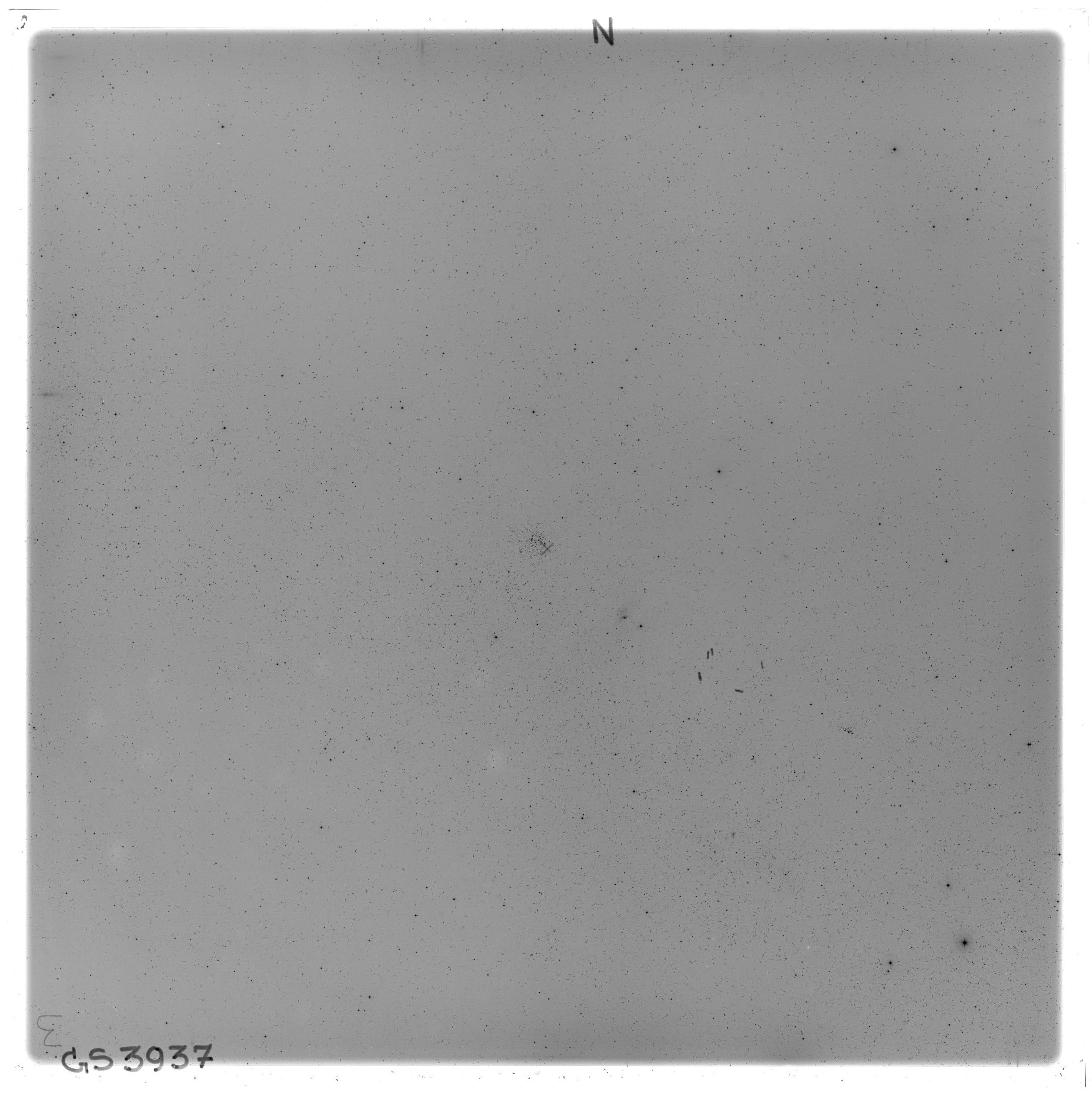 Scan GS03937