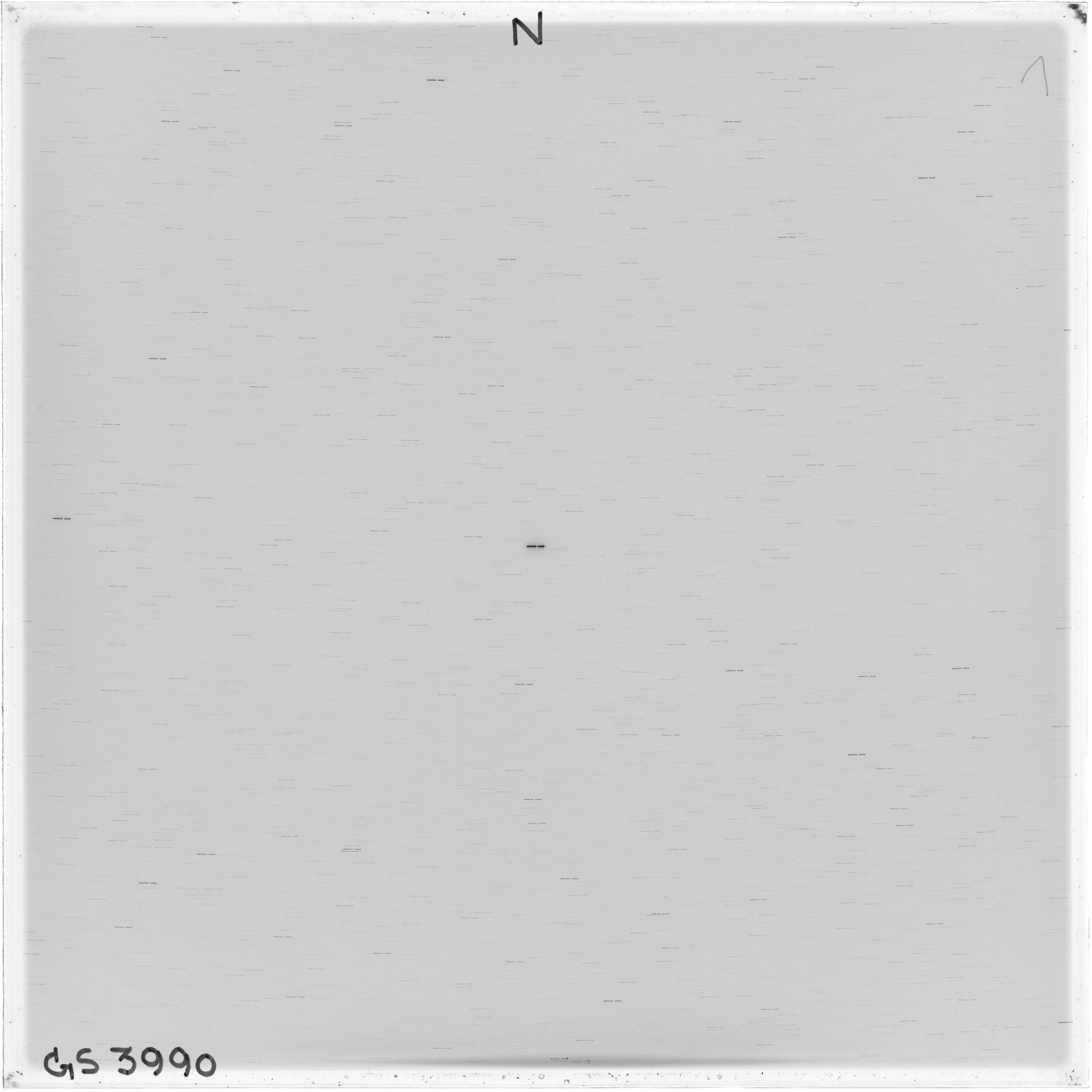 Scan GS03990