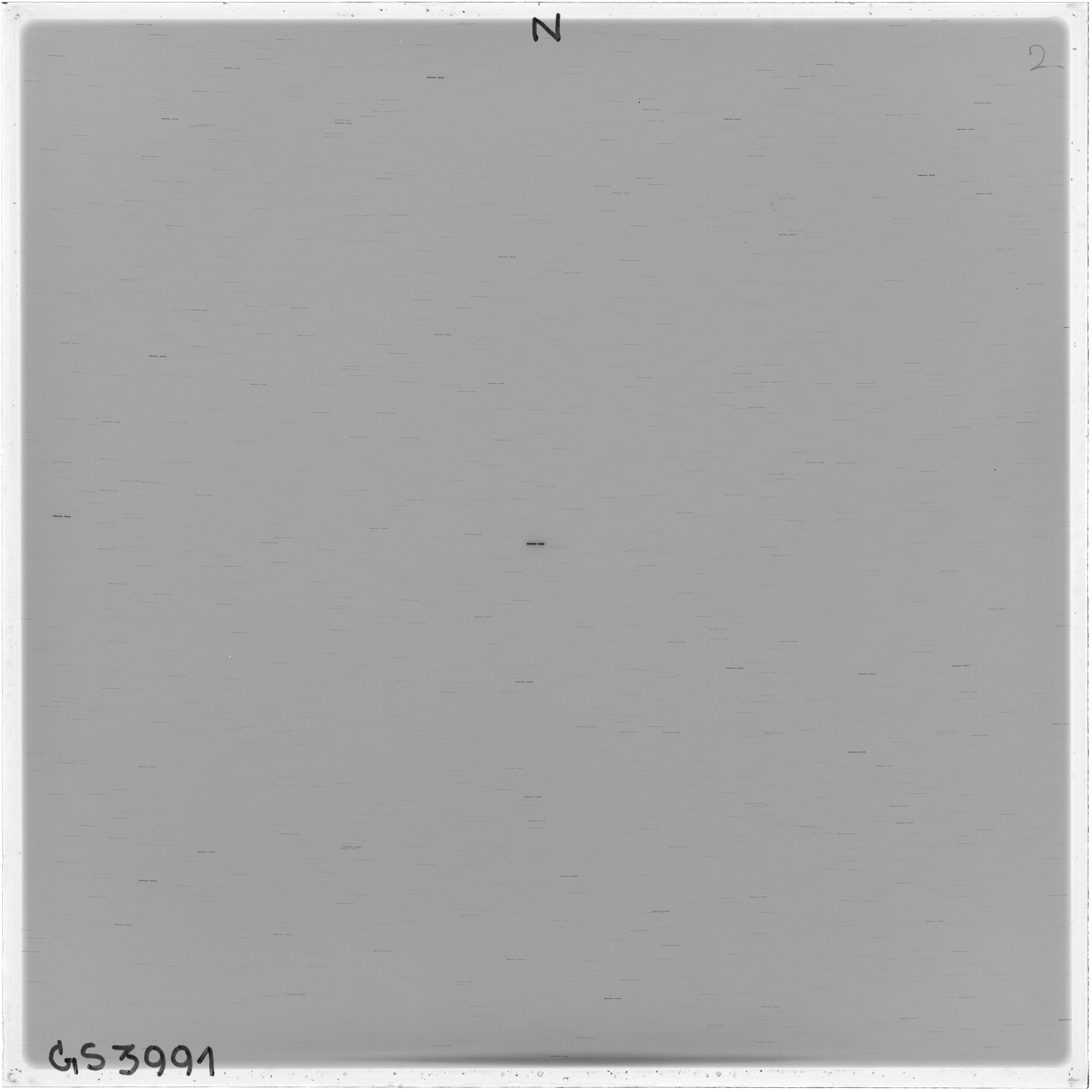 Scan GS03991