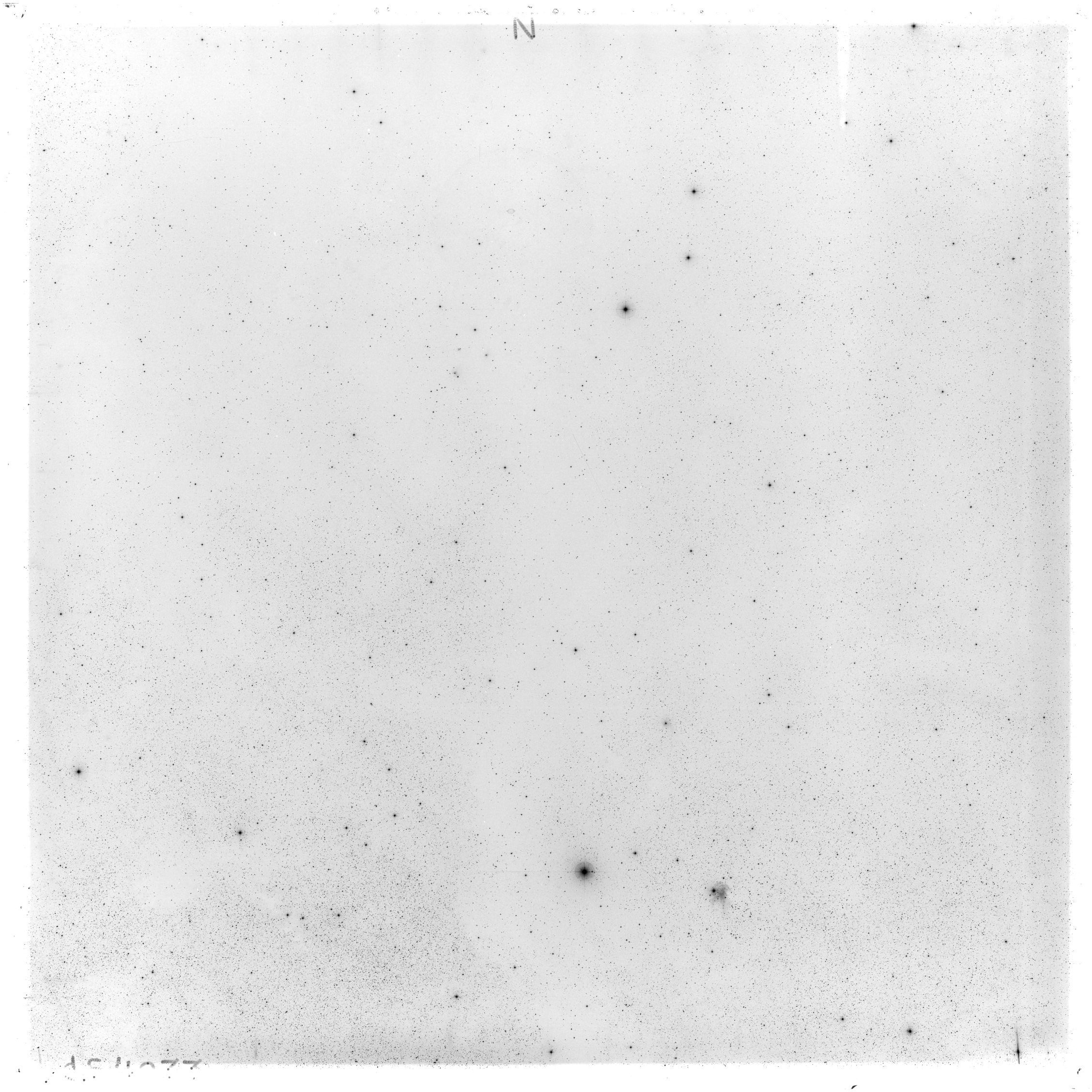 Scan GS04033