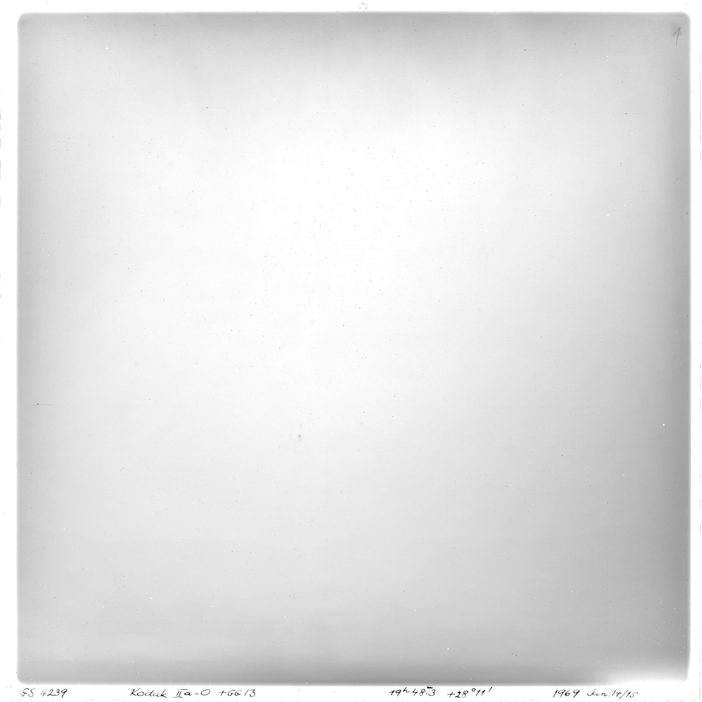 Scan GS04239