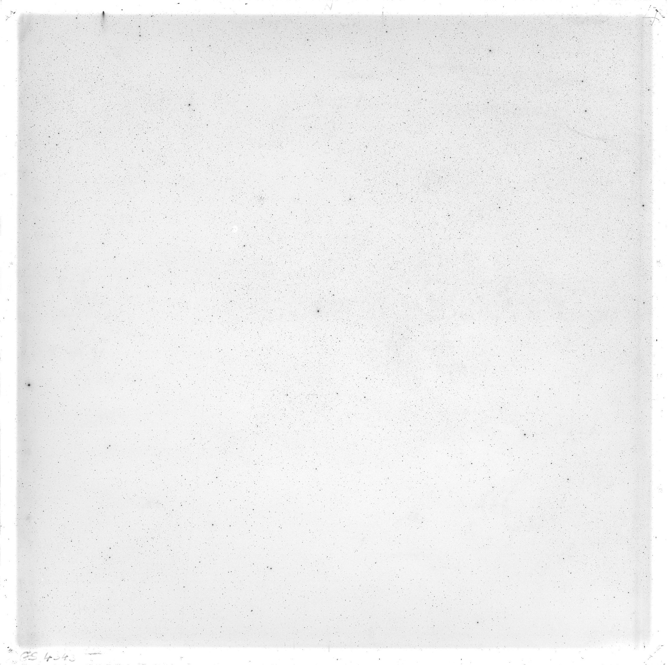 Scan GS04343