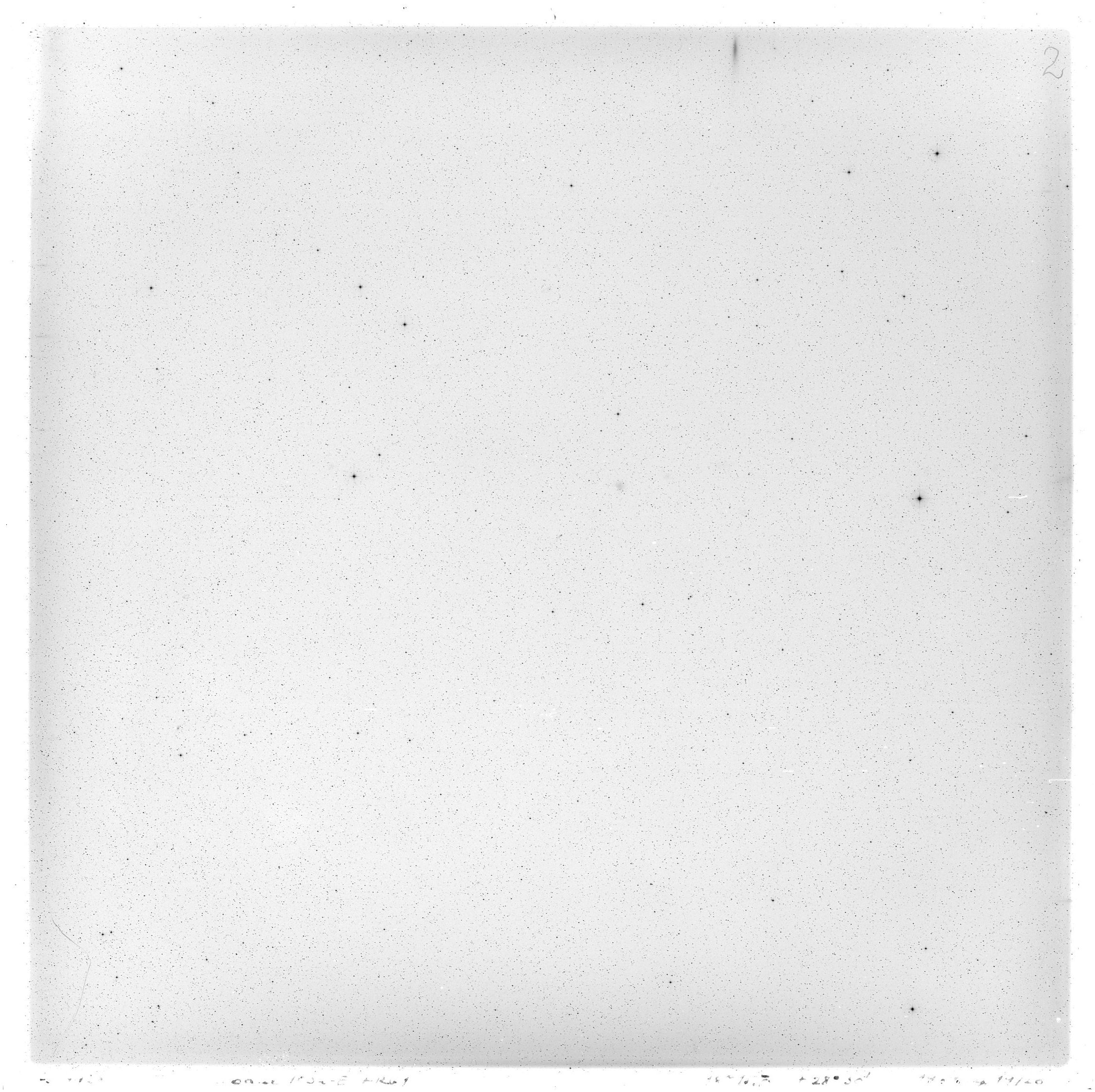 Scan GS04428