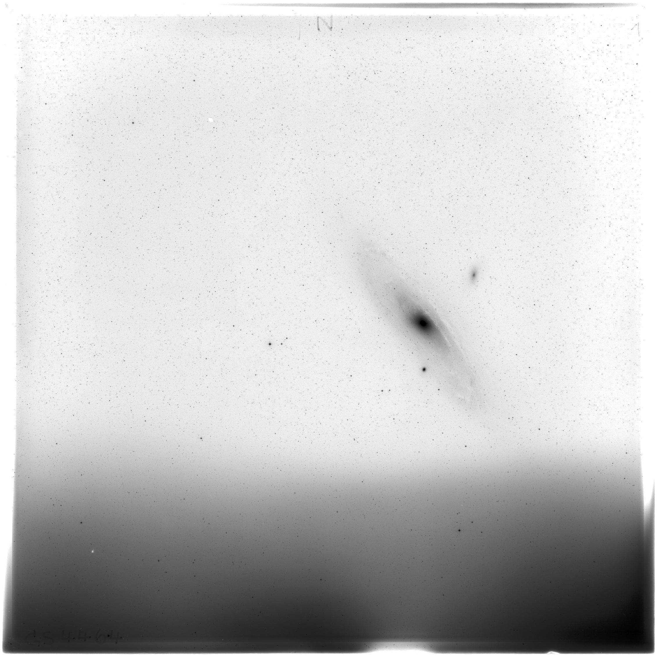 Scan GS04464