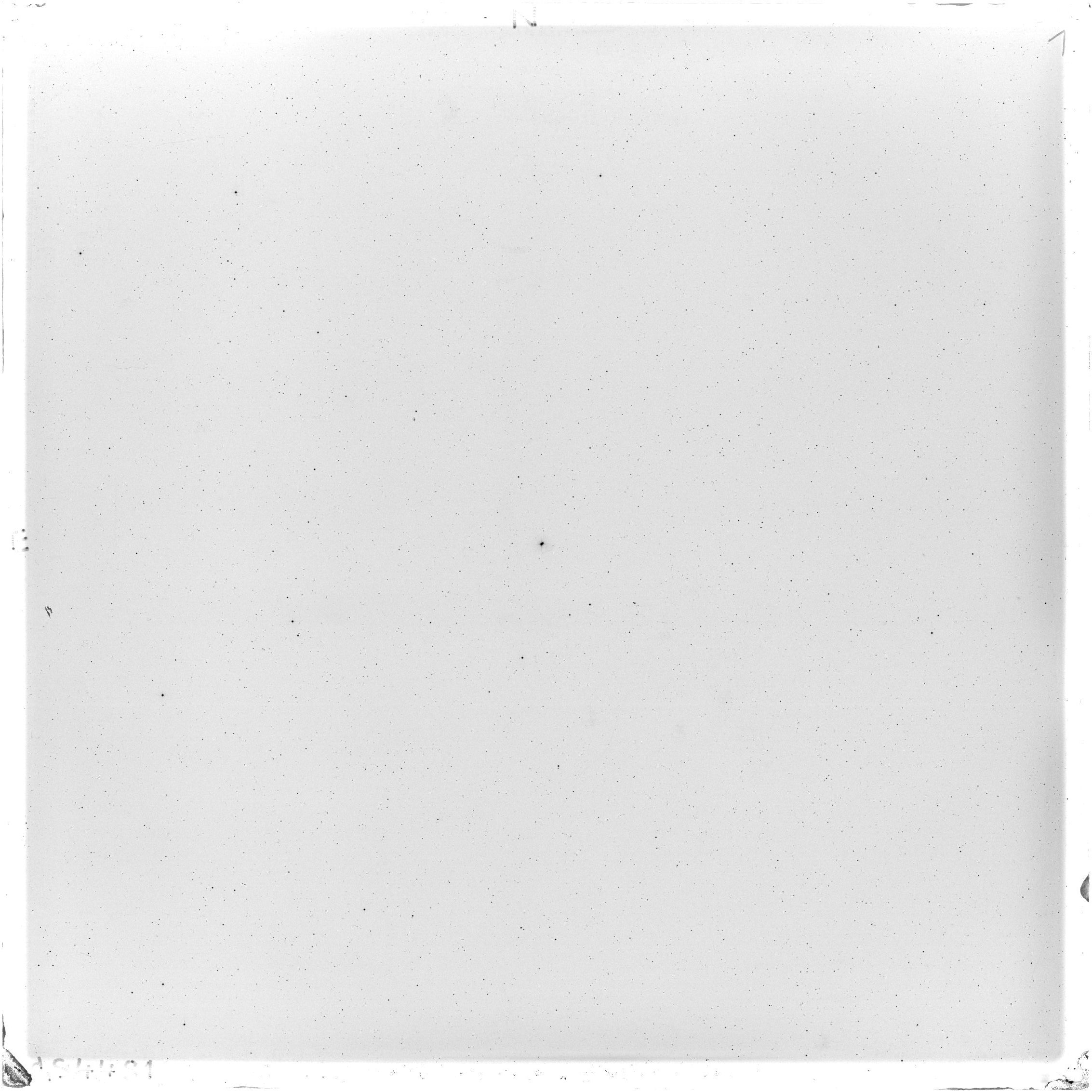 Scan GS04481