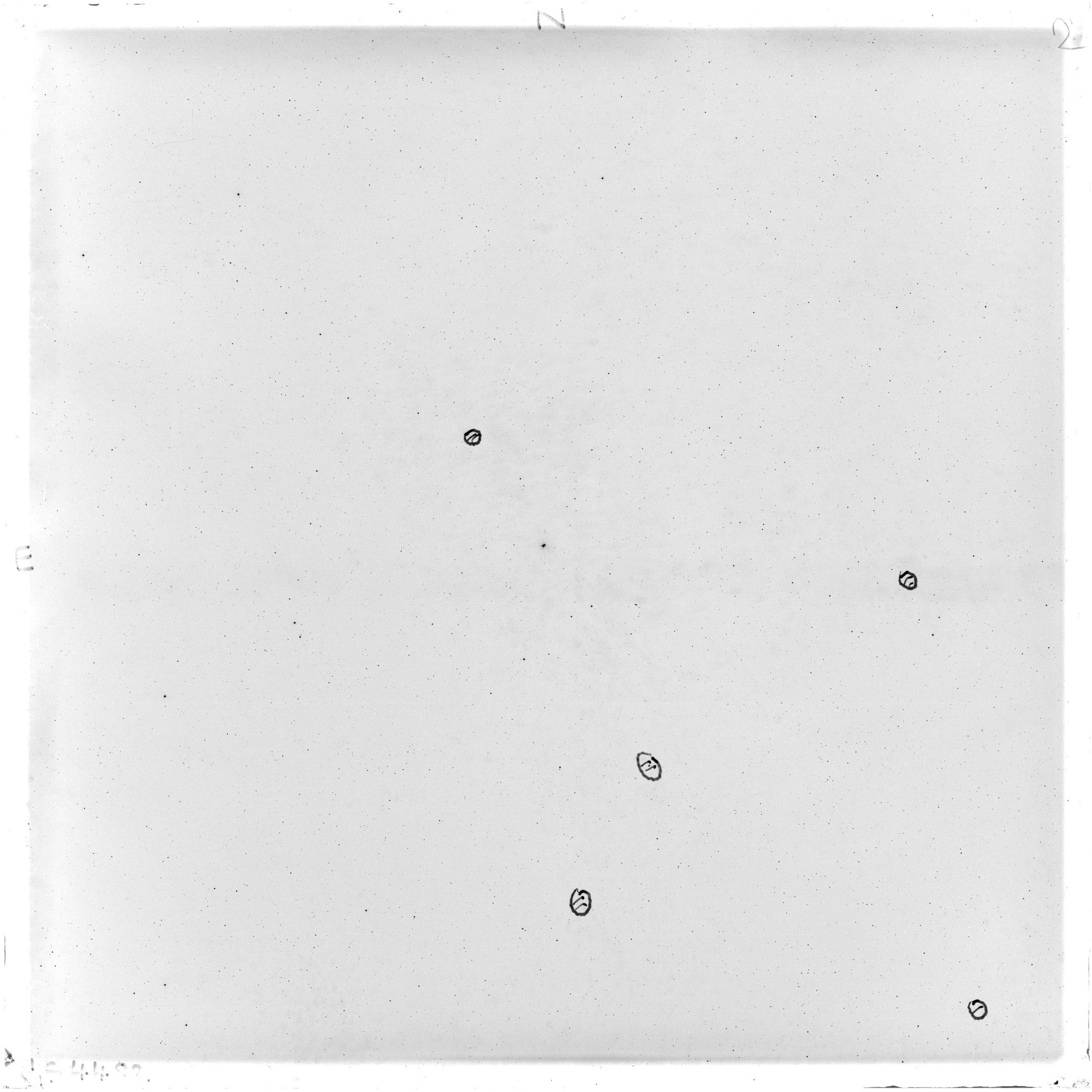 Scan GS04482