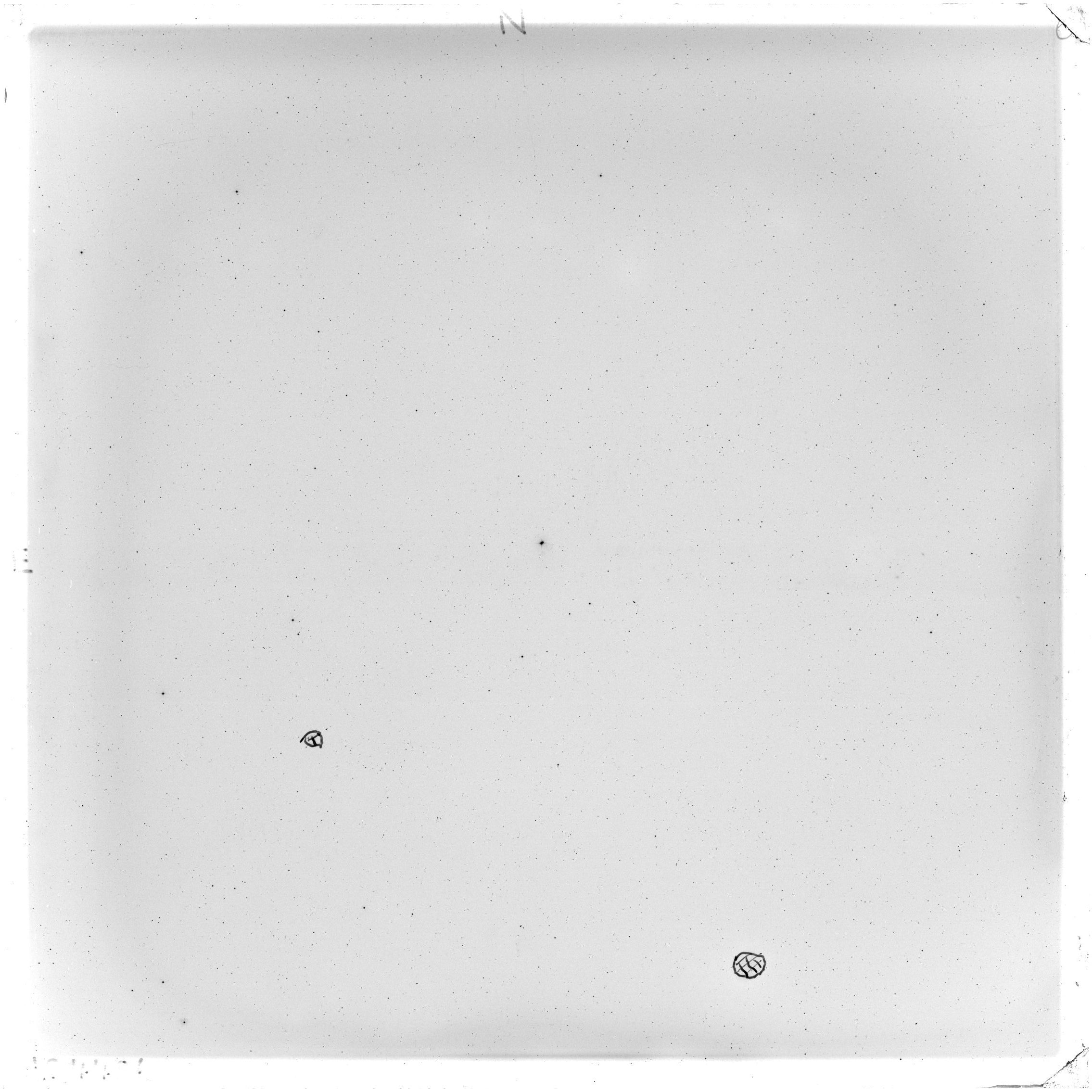 Scan GS04486