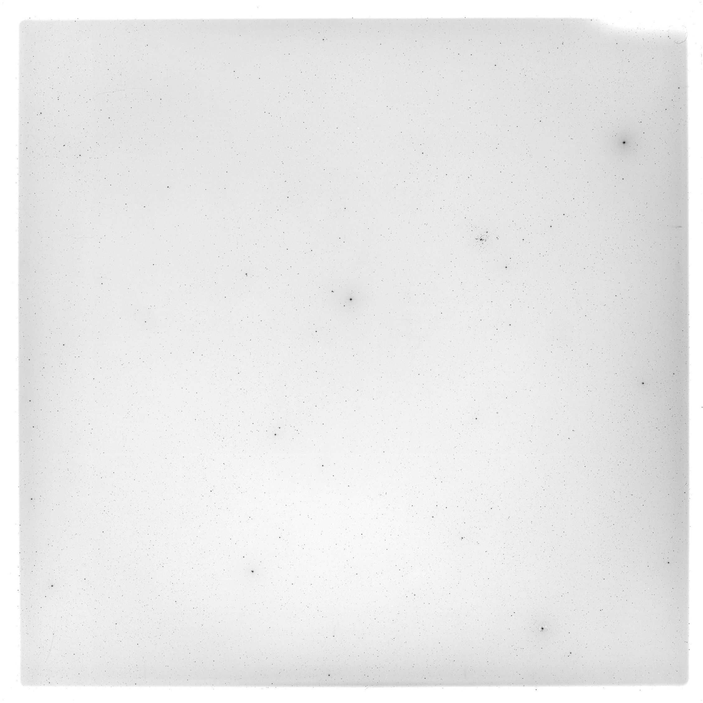 Scan GS04491