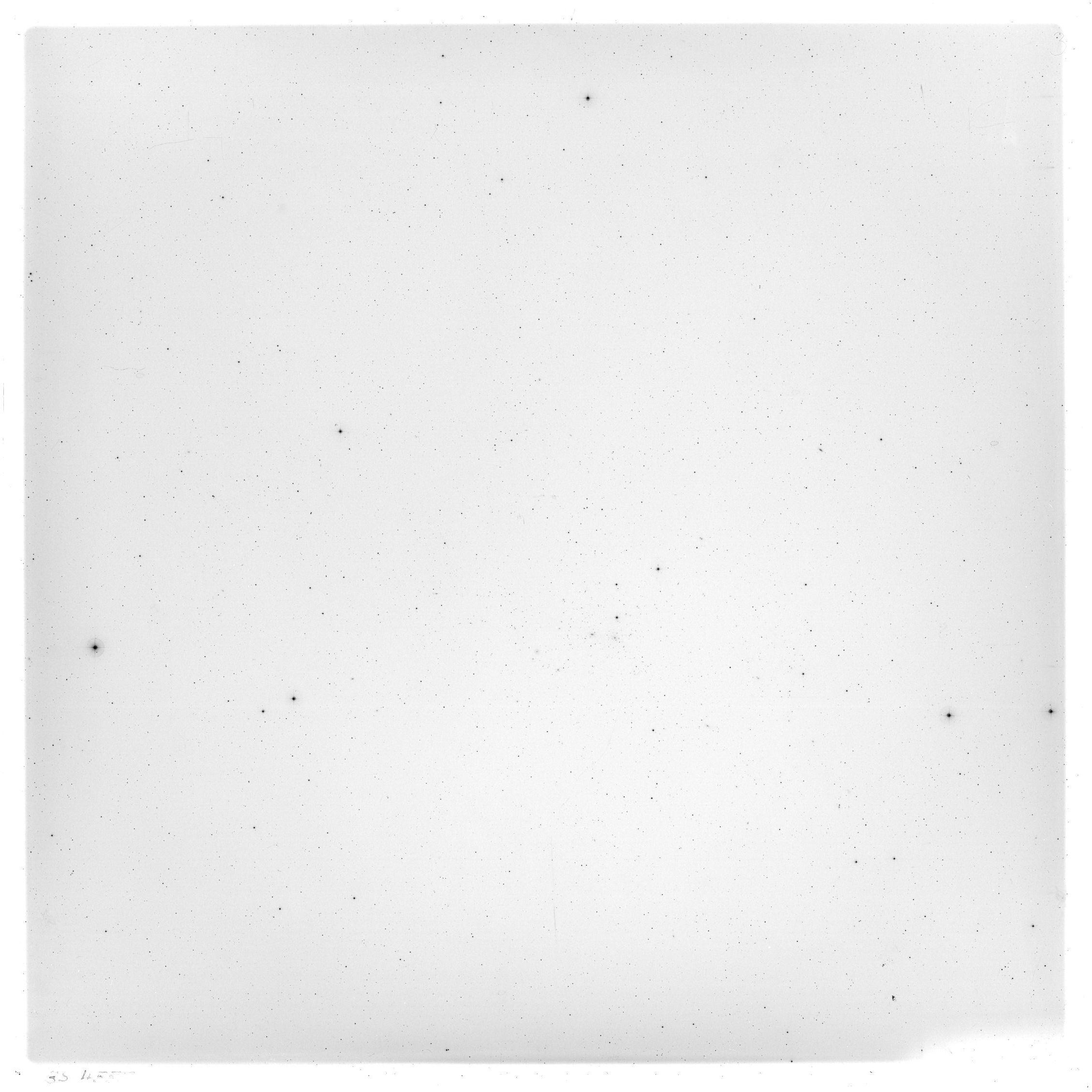 Scan GS04555