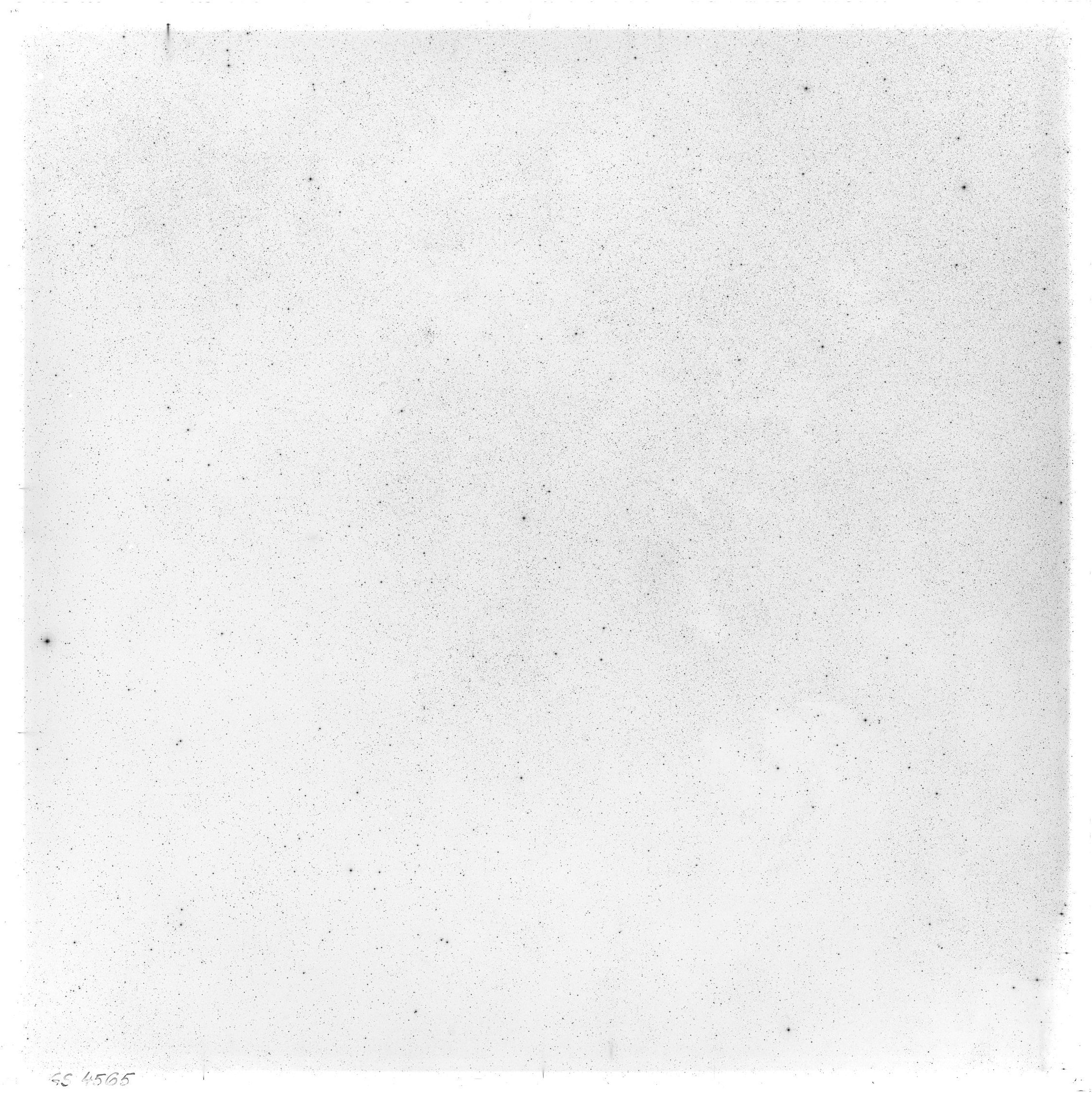 Scan GS04565