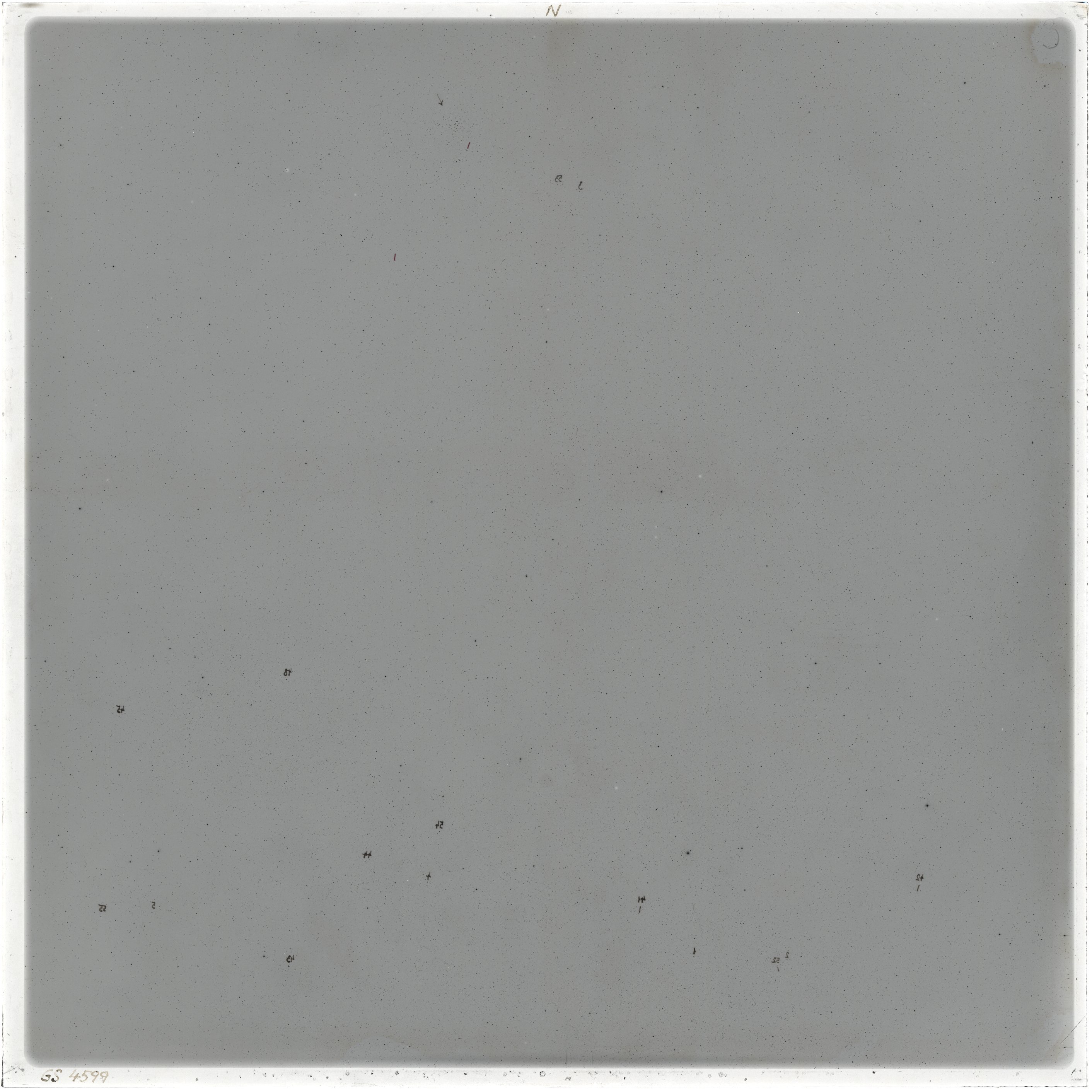 Scan GS04599