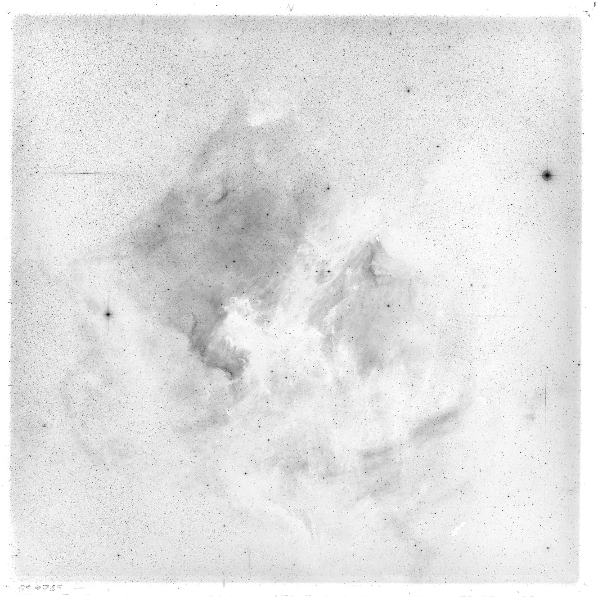 Scan GS04789