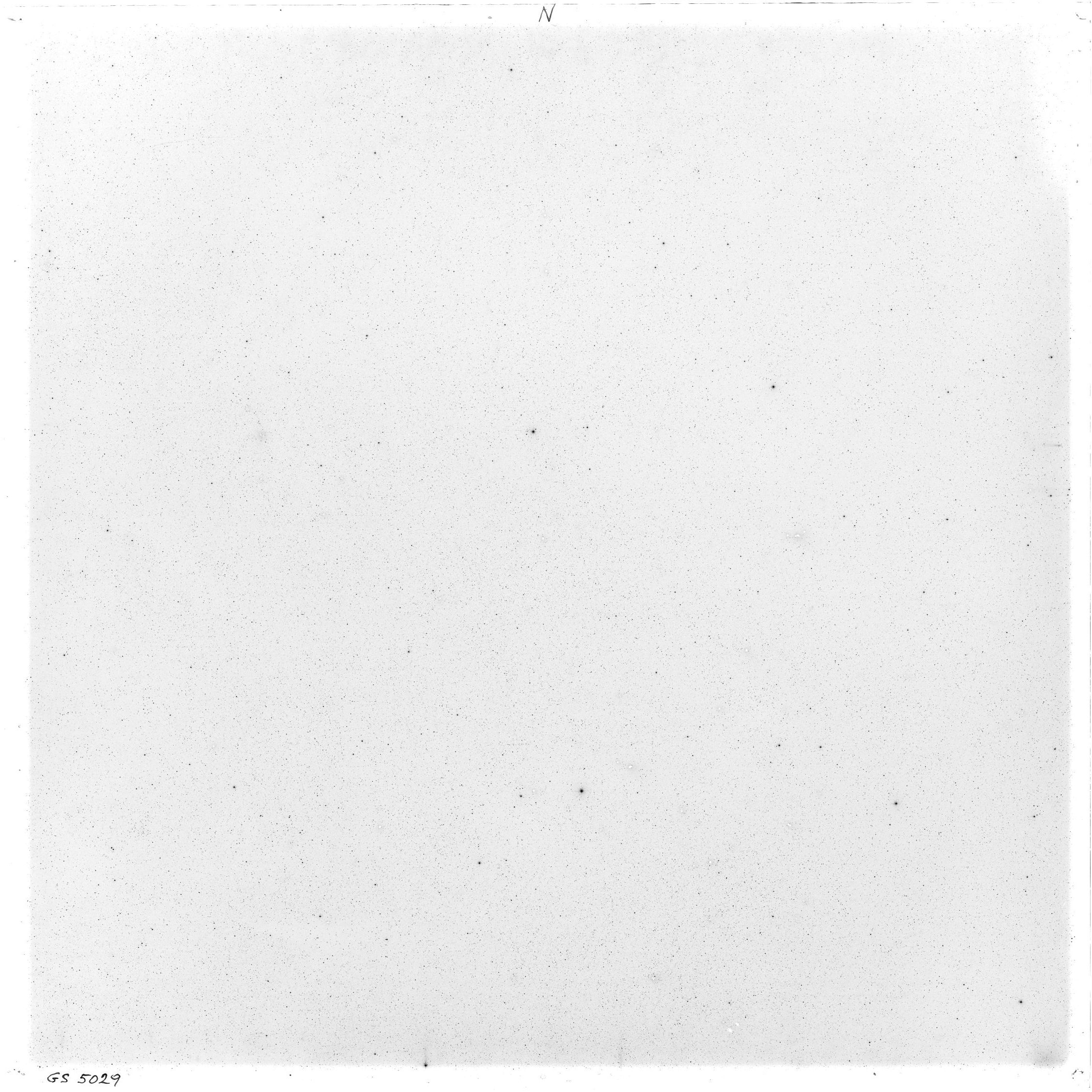 Scan GS05029