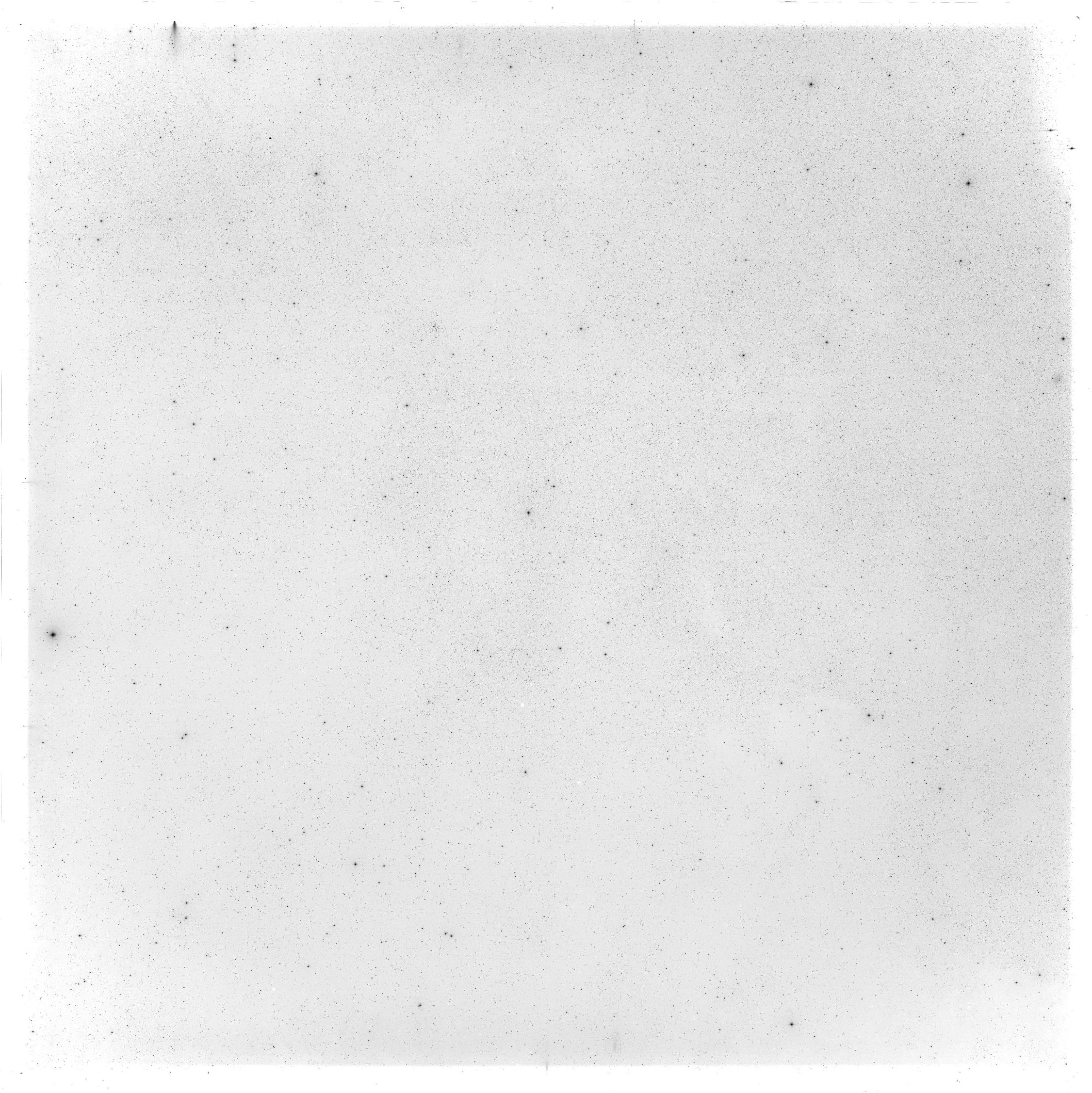 Scan GS05049