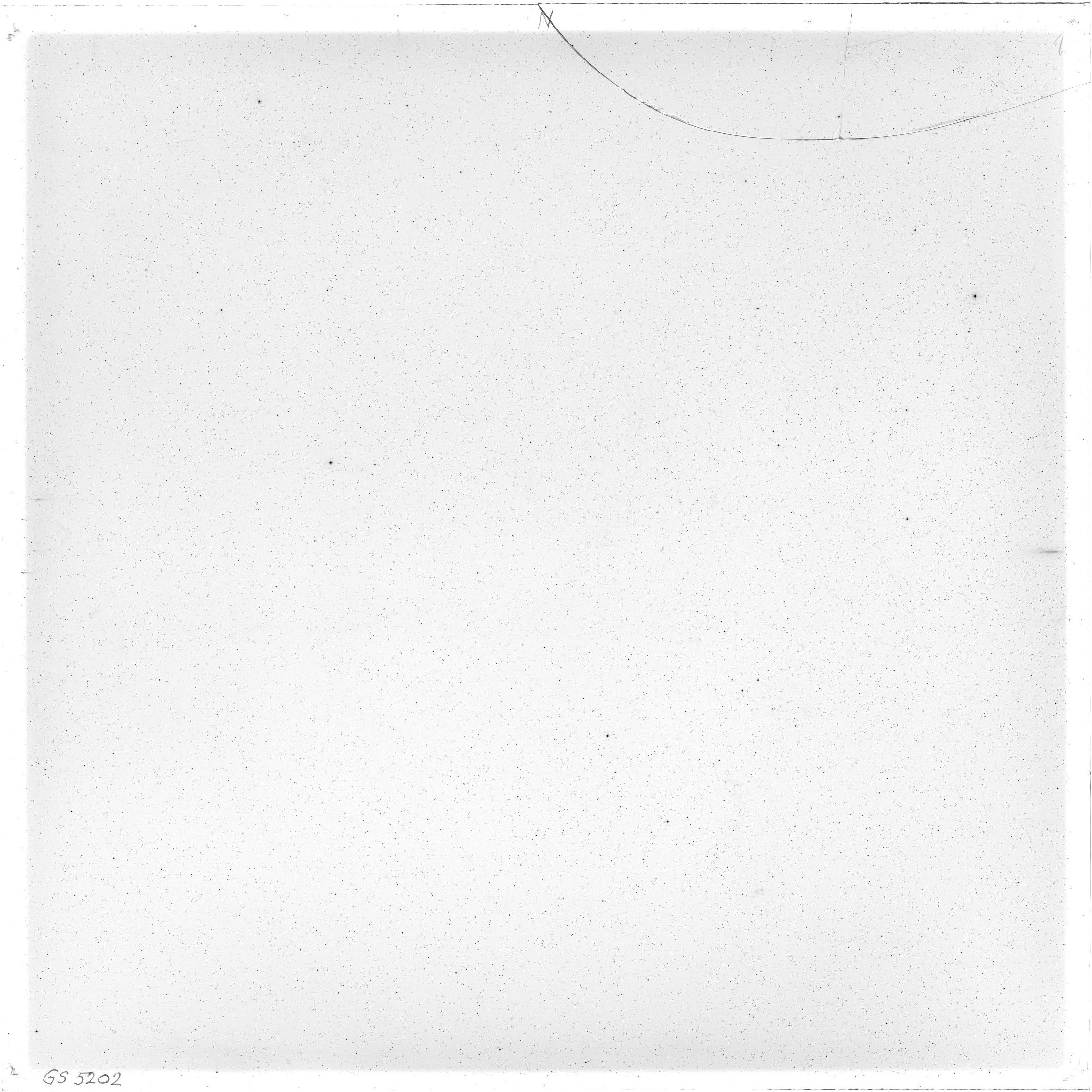 Scan GS05202