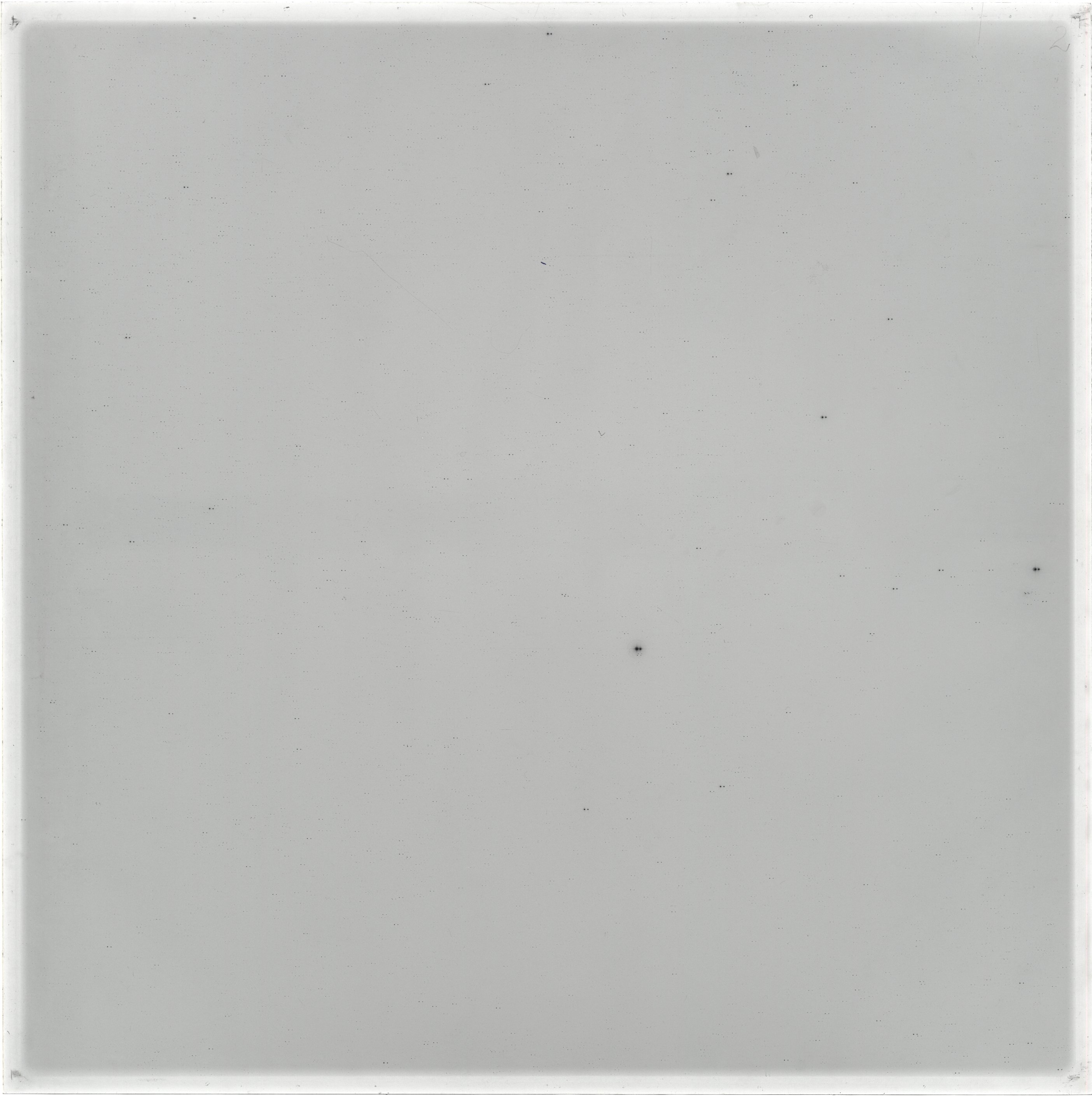 Scan GS05233