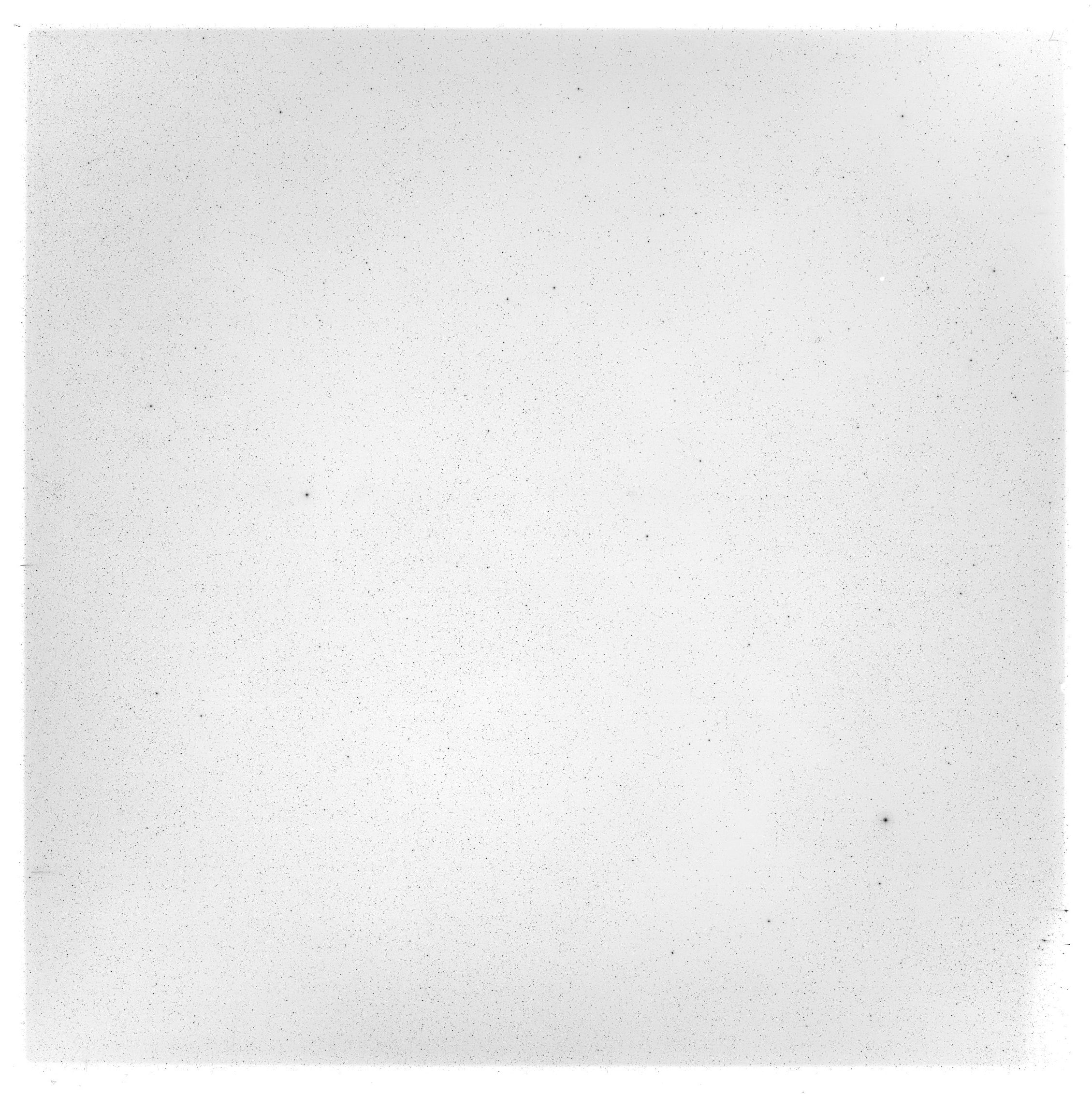 Scan GS05317