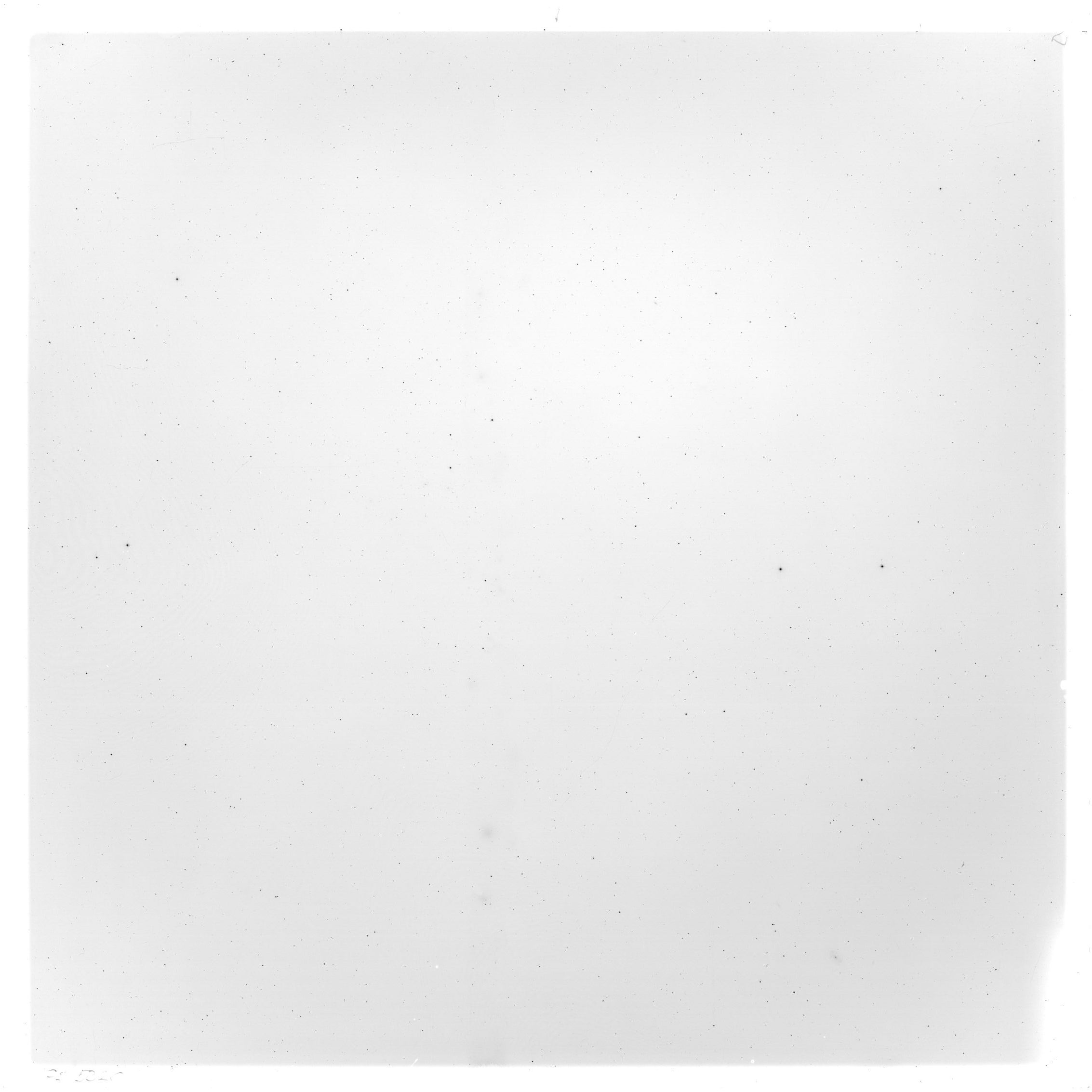 Scan GS05320