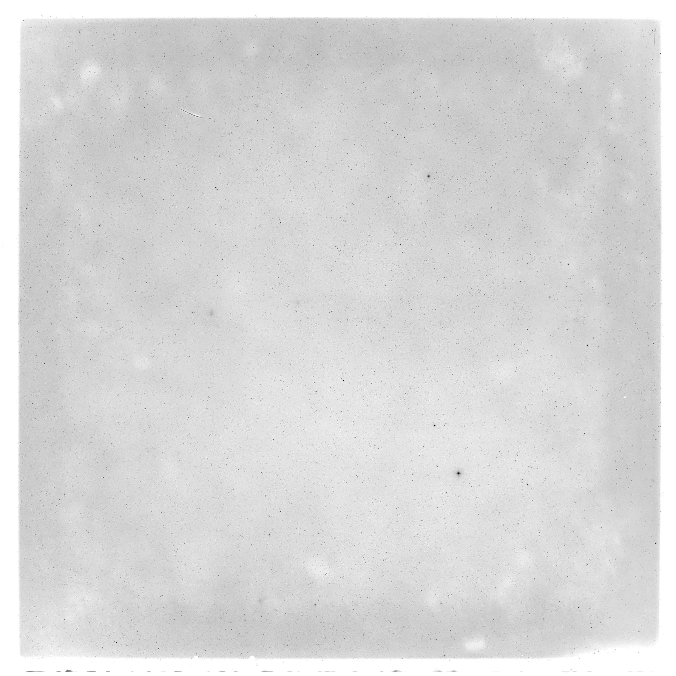 Scan GS05327