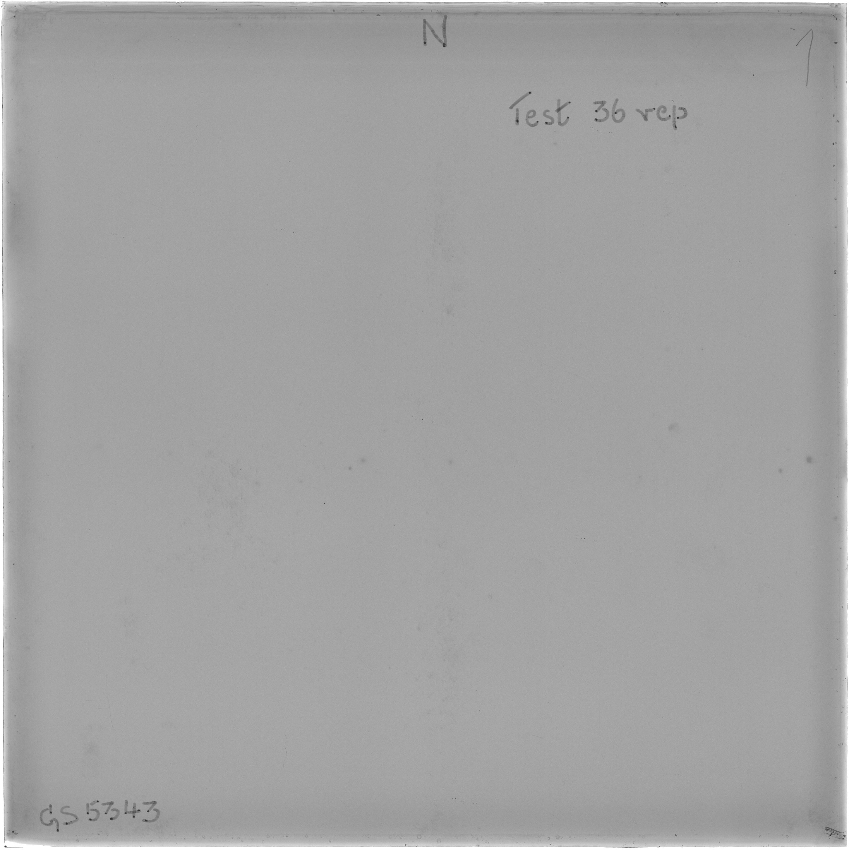 Scan GS05343