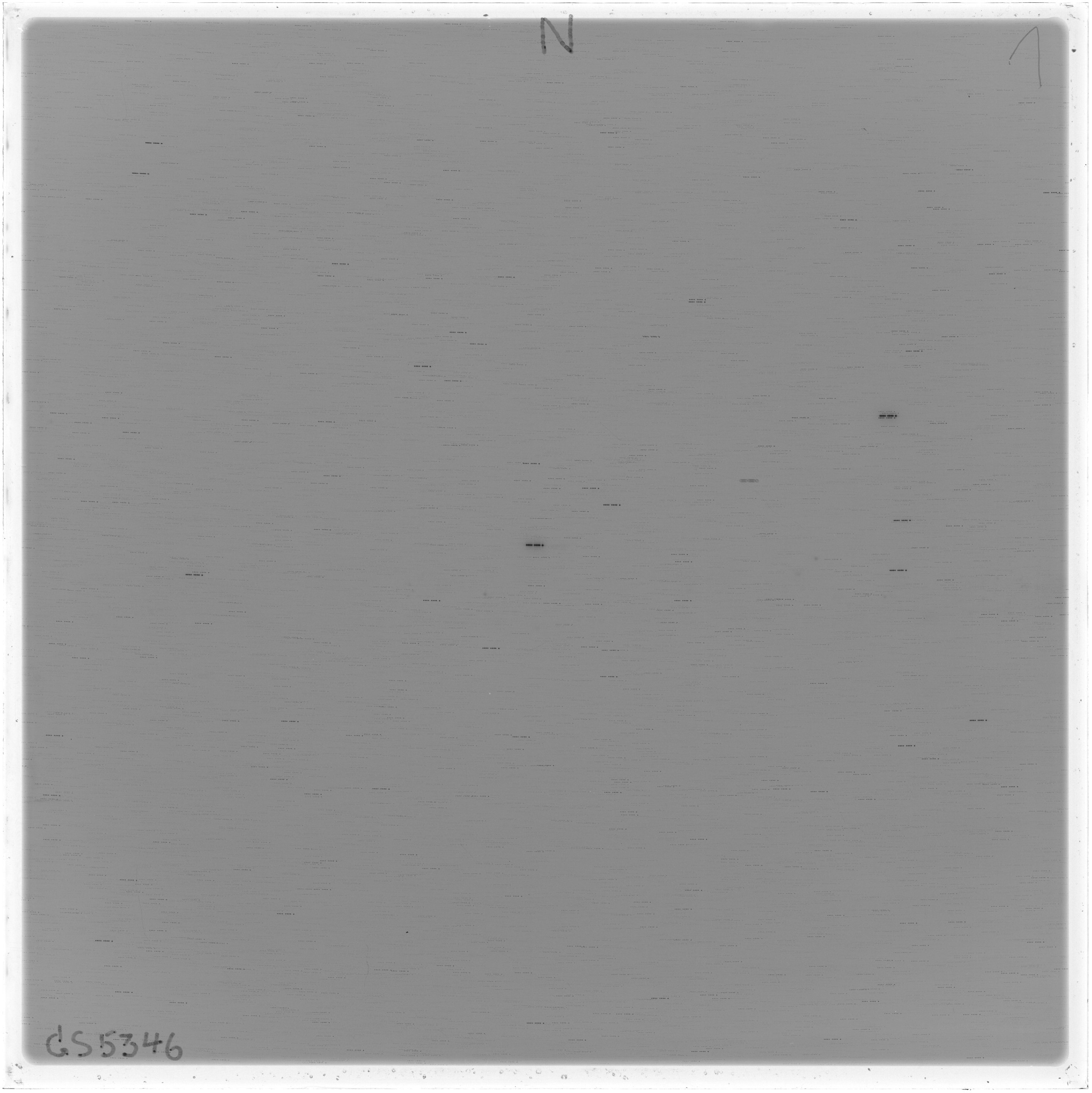 Scan GS05346