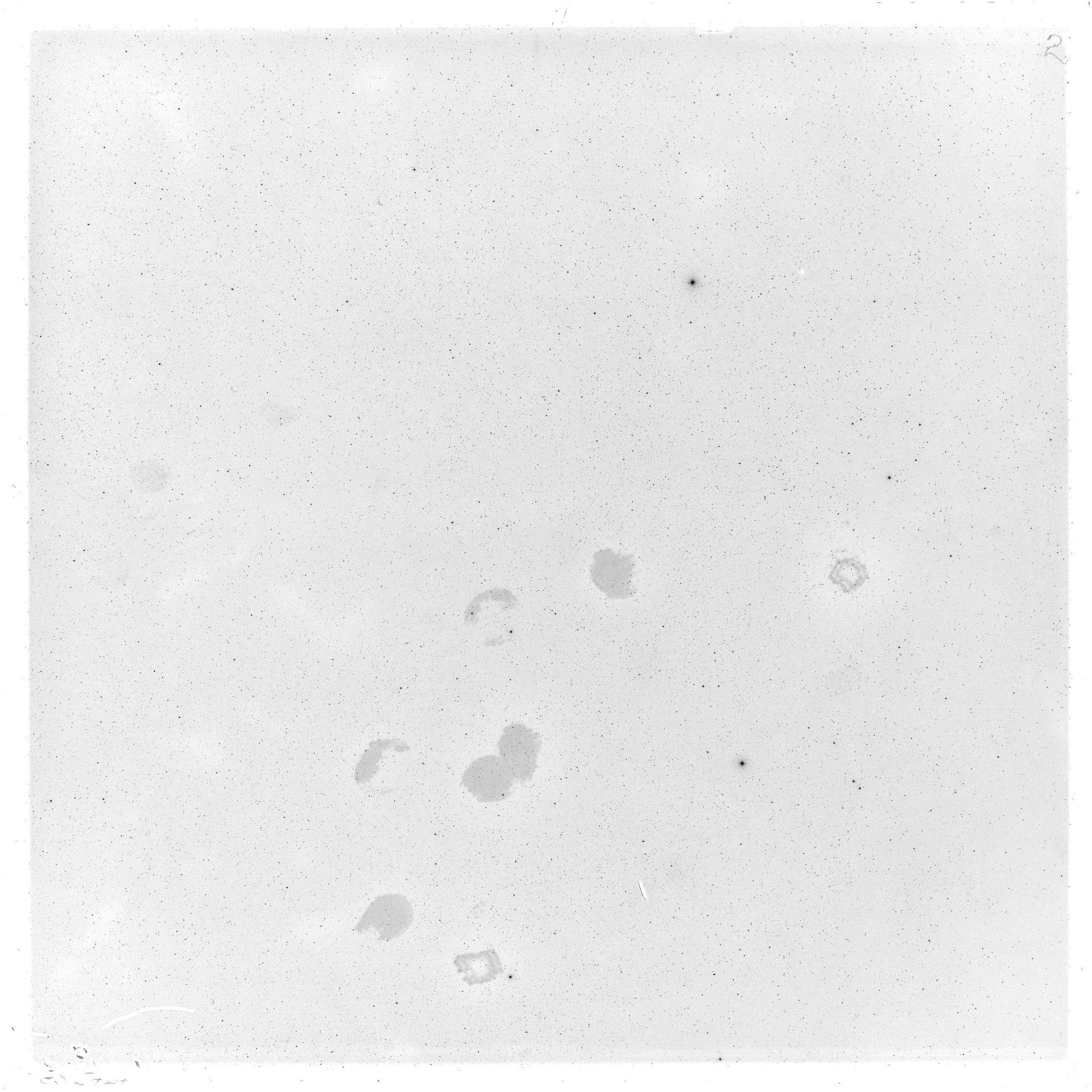 Scan GS05424