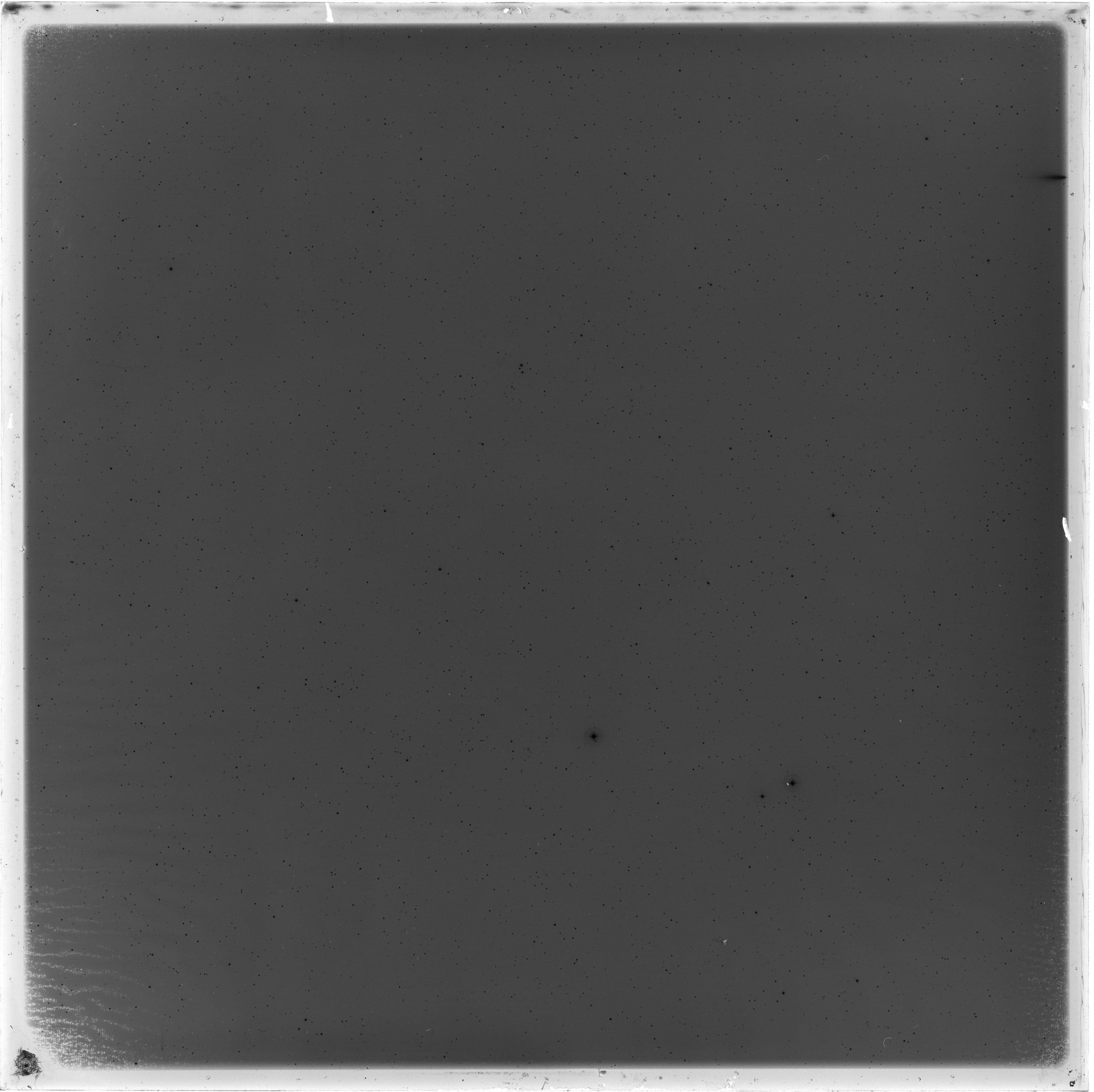 Scan GS05435