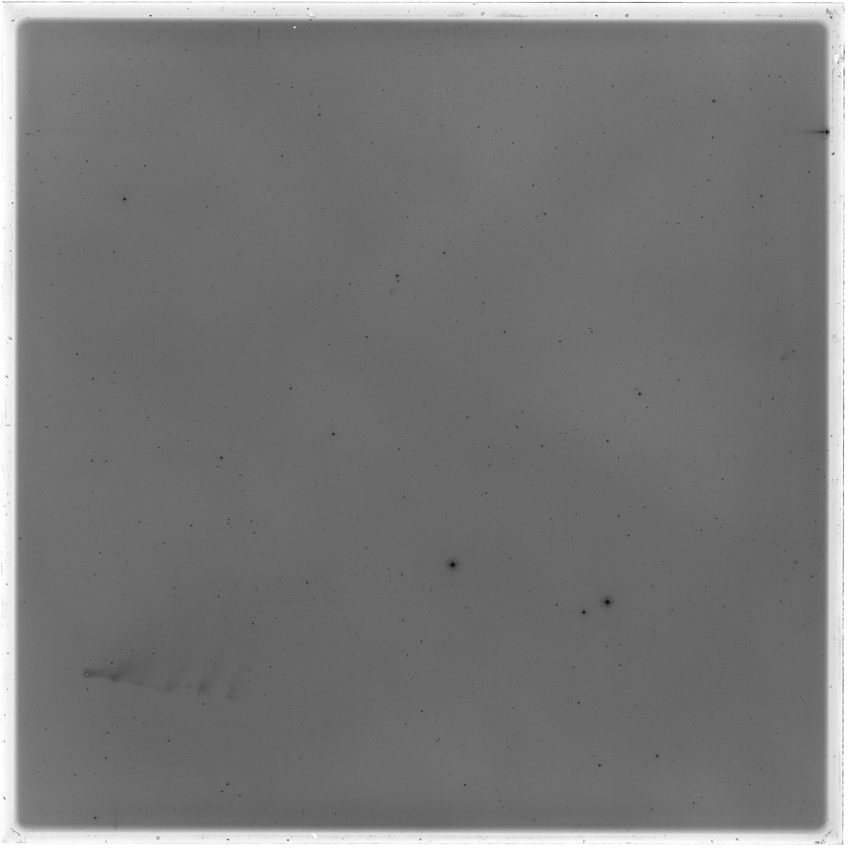 Scan GS05440