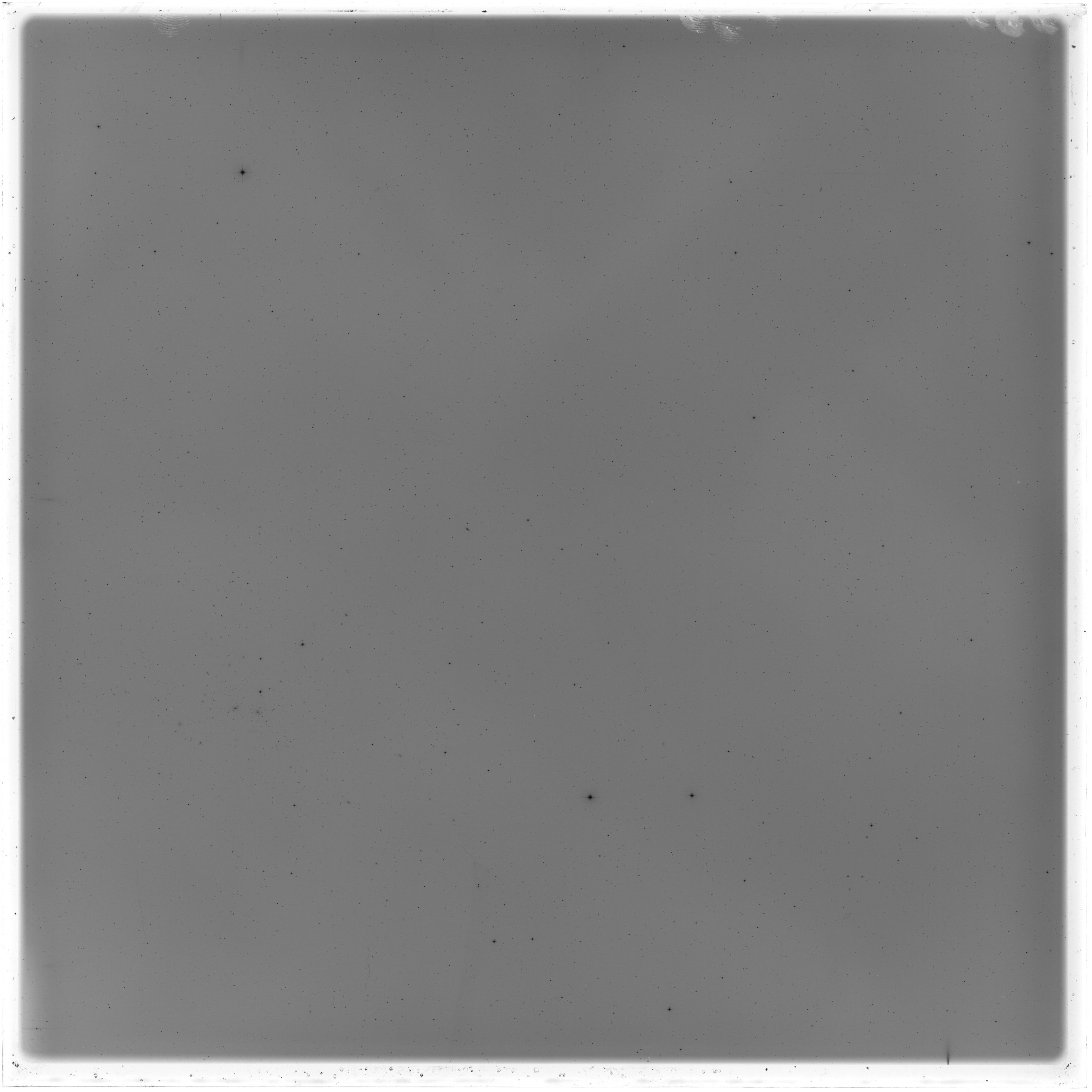 Scan GS05441