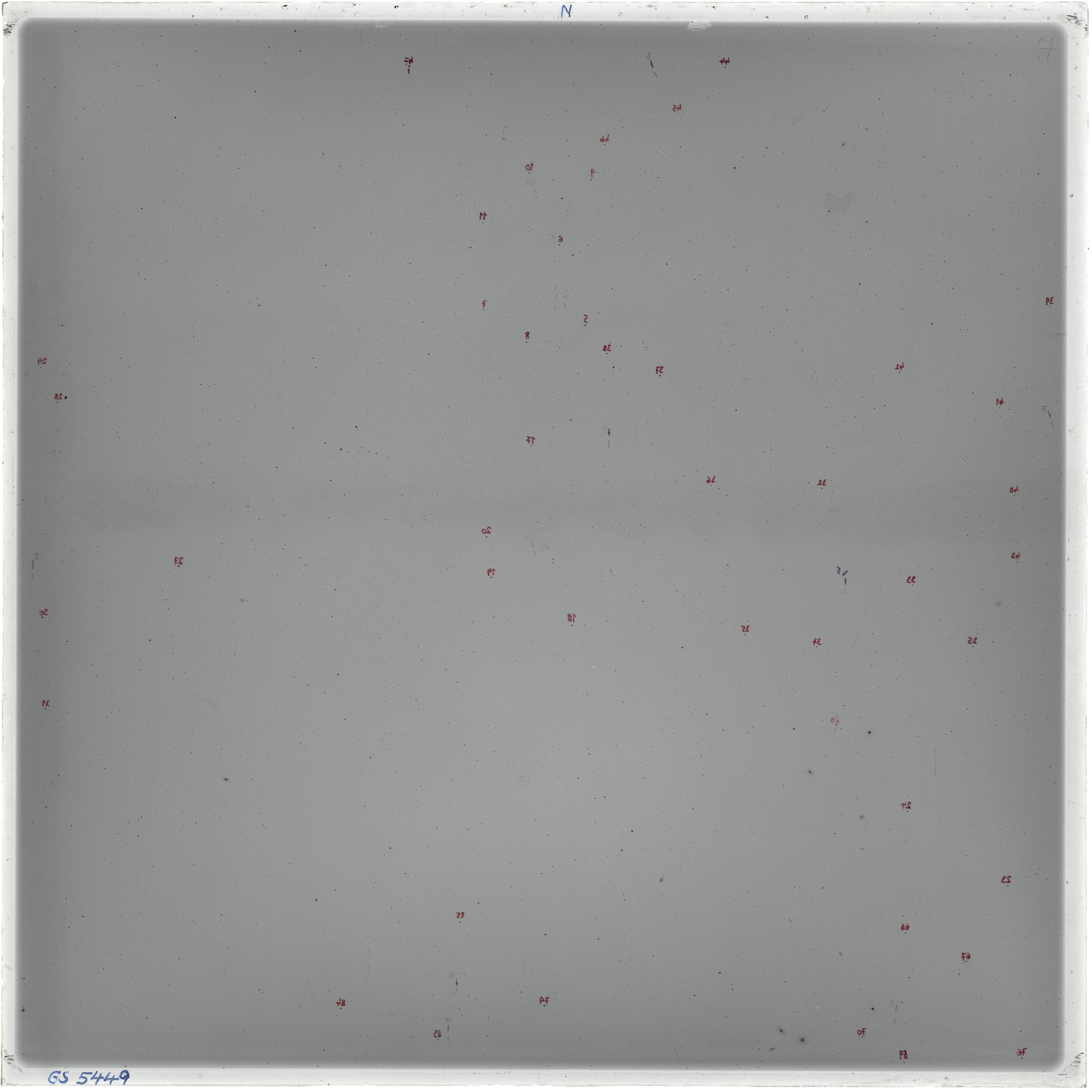 Scan GS05449