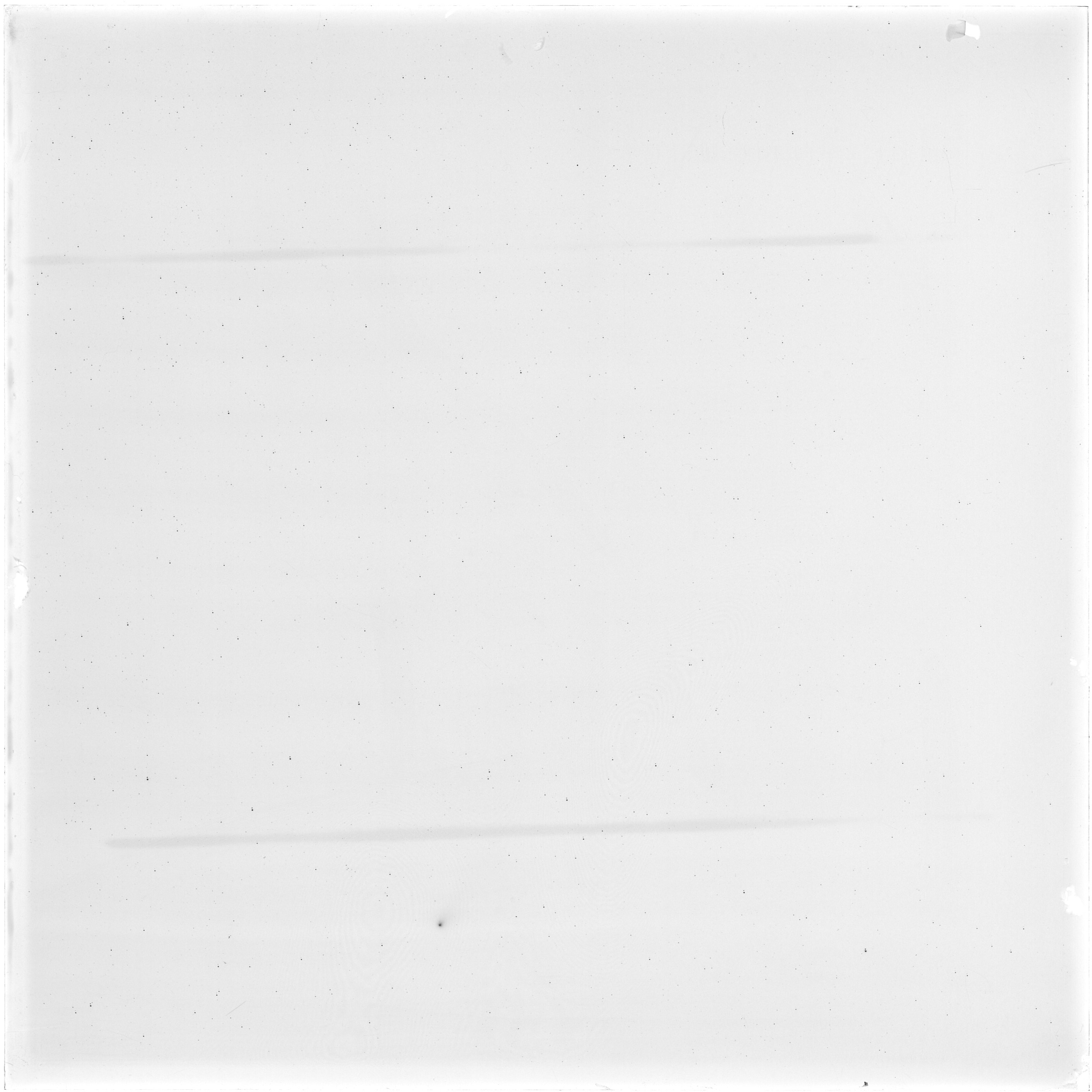 Scan GS05472