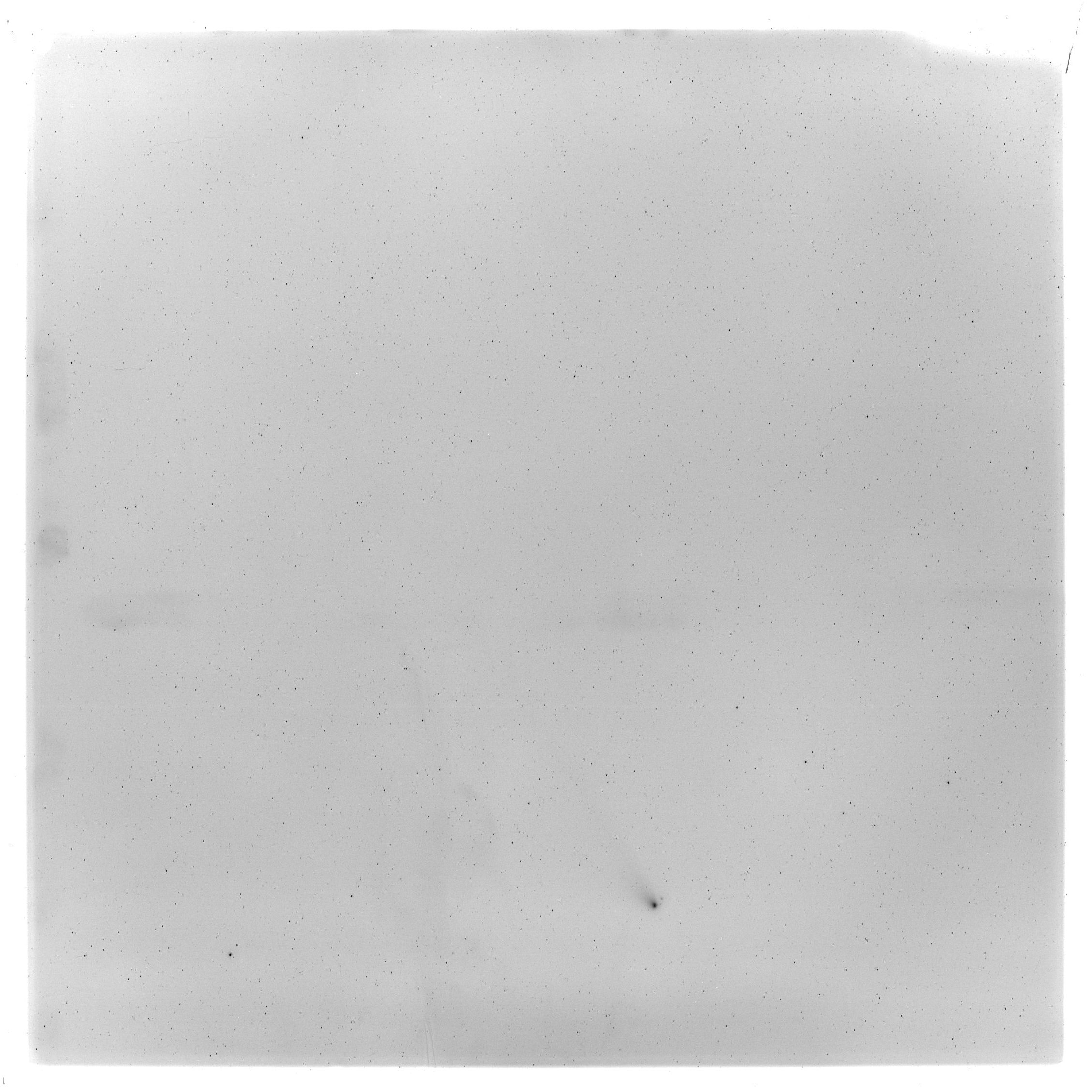 Scan GS05473
