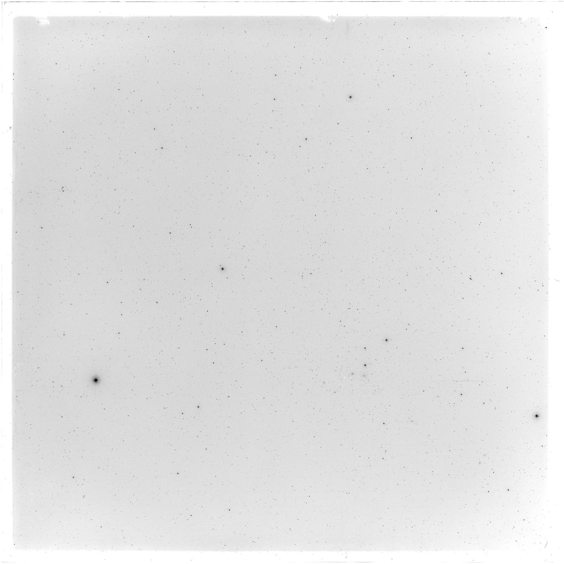 Scan GS05484
