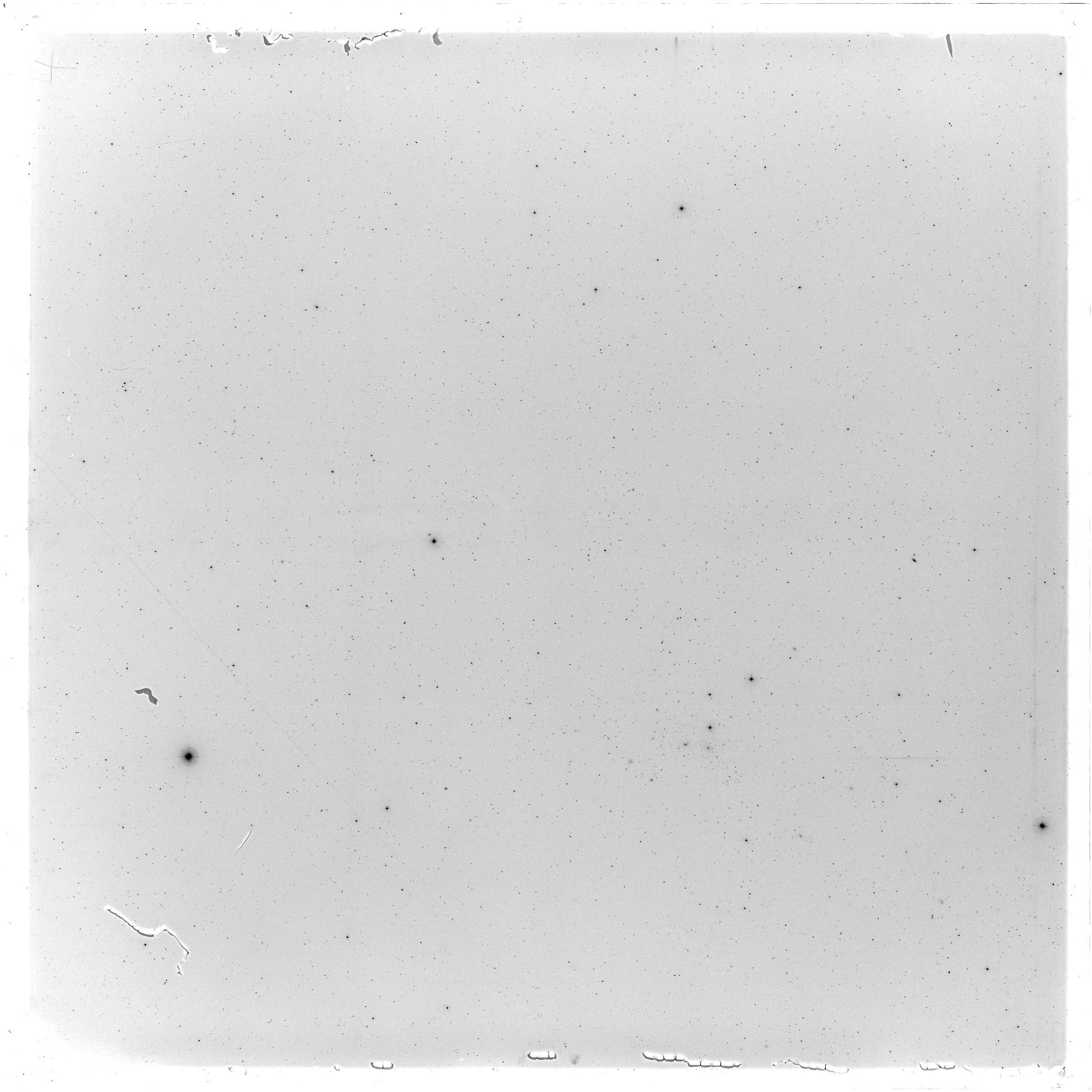 Scan GS05491