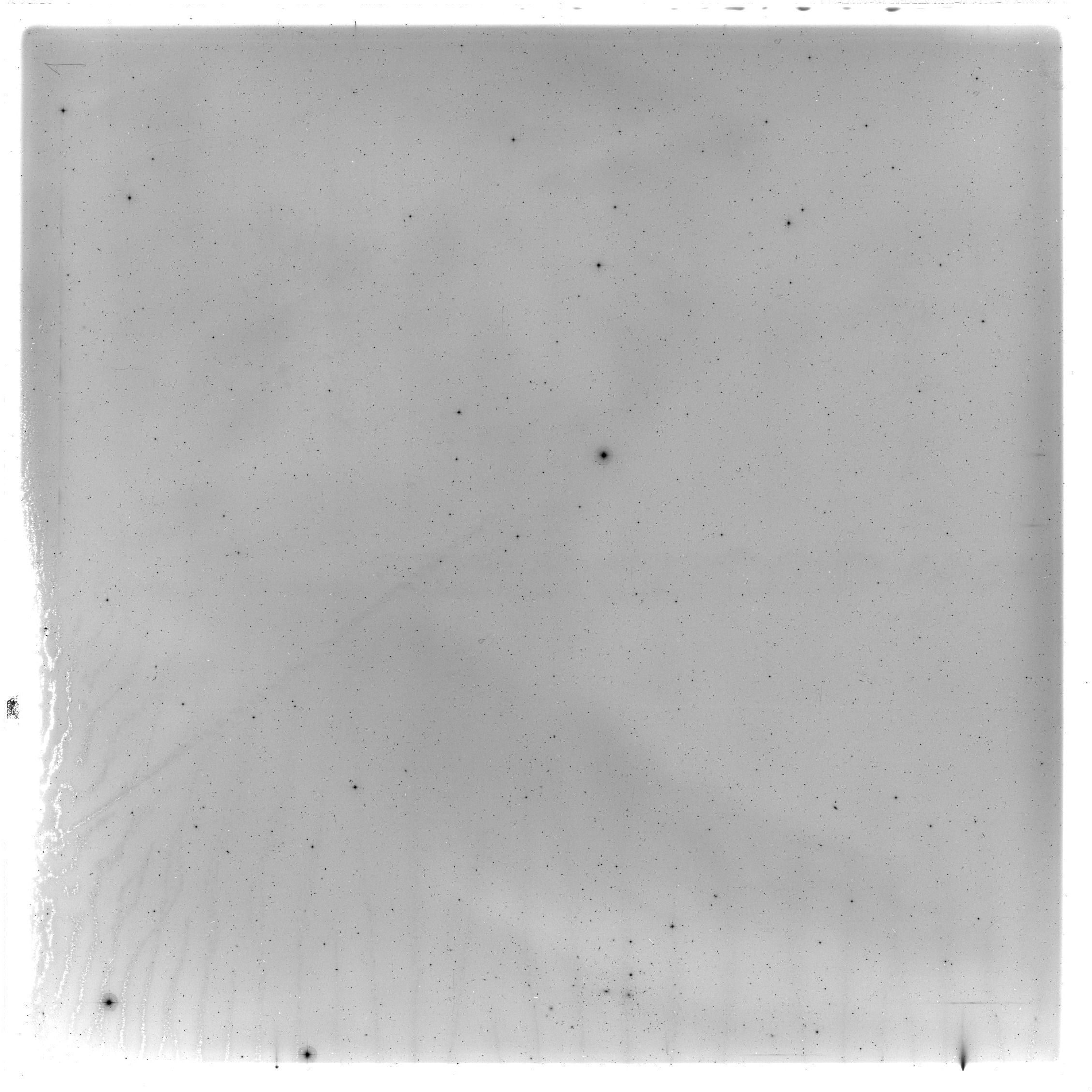 Scan GS05499